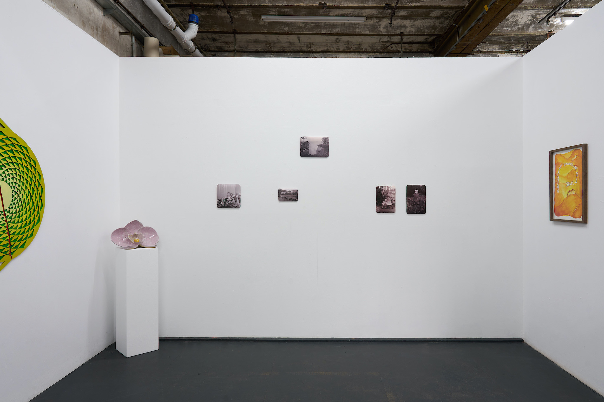 Installation view: "Saving Private Mythologies", galerie intershop, Leipzig