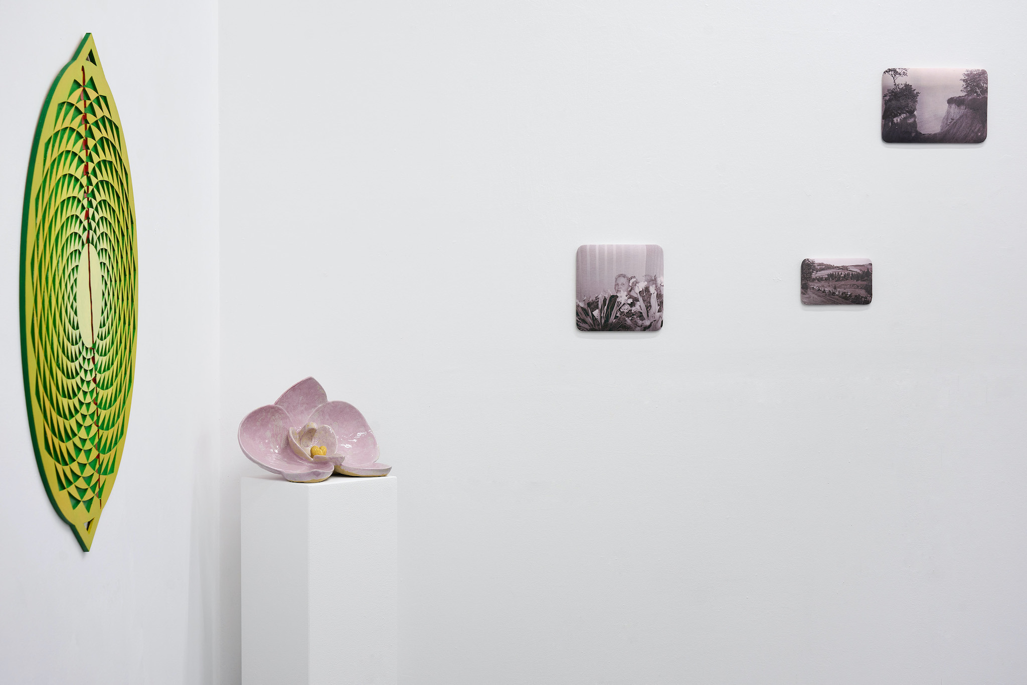 Installation view: "Saving Private Mythologies", galerie intershop, Leipzig