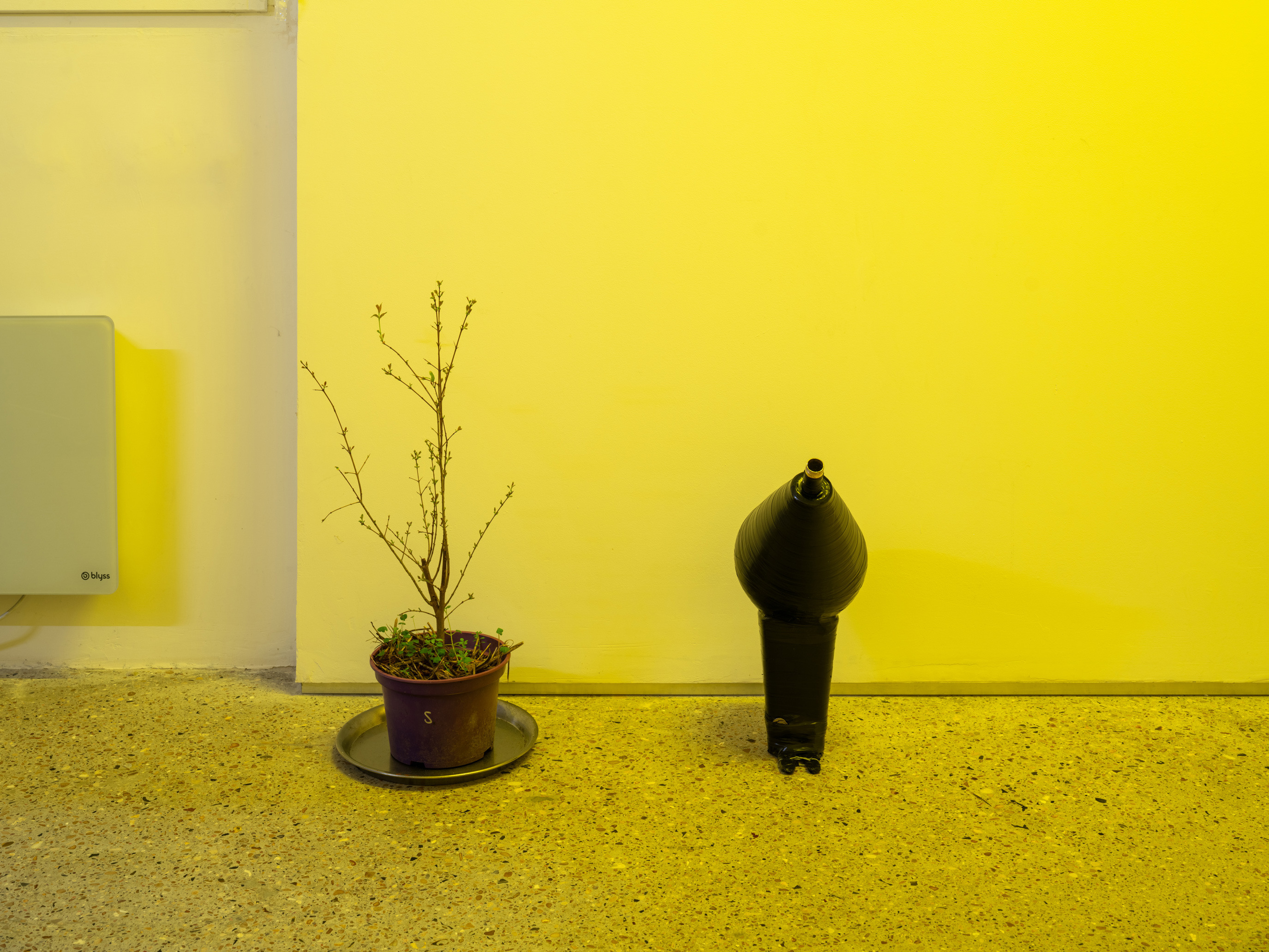 Exhibition view, 2025, Crèvecœur, Paris. Courtesy of the artist and Crèvecœur, Paris. Photo: Martin Argyroglo