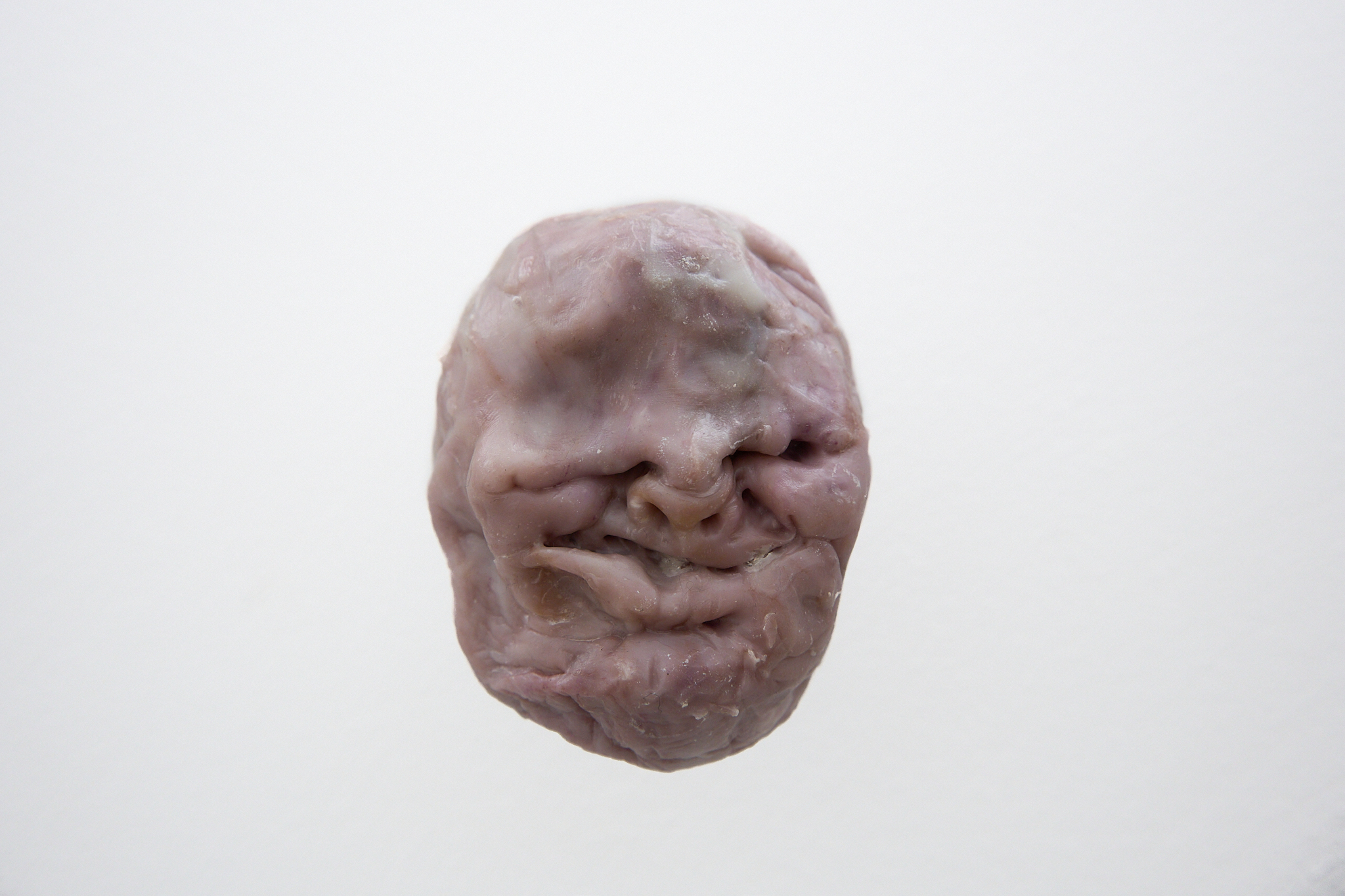 âIn a tuber hidden soulâ (5), 2025, polycaprolactone, 9x7x6cm