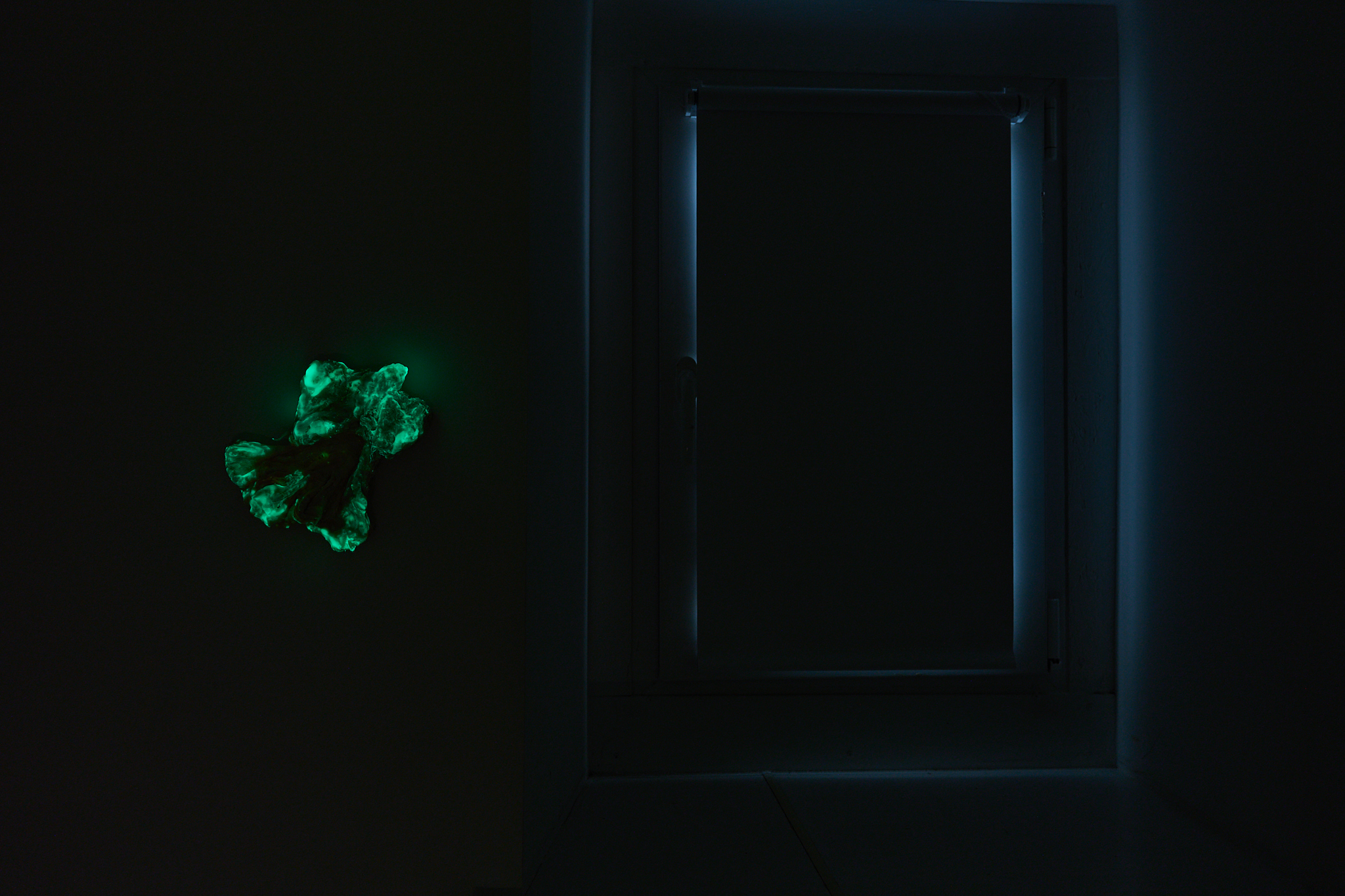 'What Lies Beneath the Sheetâ, 2025, polycaprolactone, 20x16cm