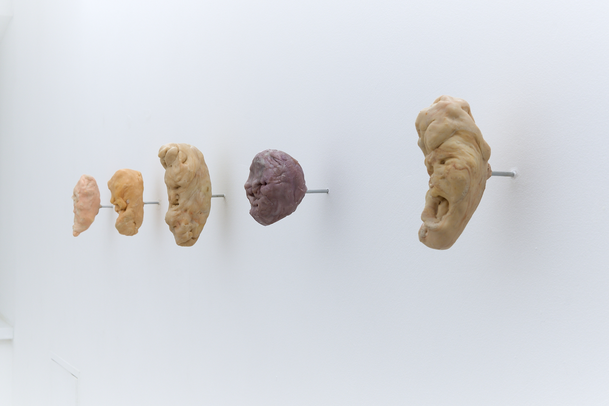 âIn a tuber hidden soulâ, 2025, polycaprolactone