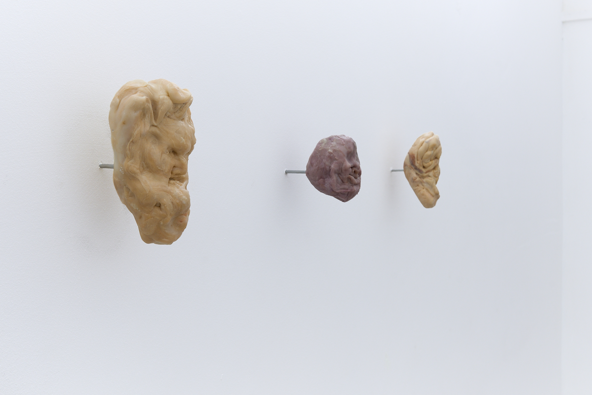 âIn a tuber hidden soulâ, 2025, polycaprolactone