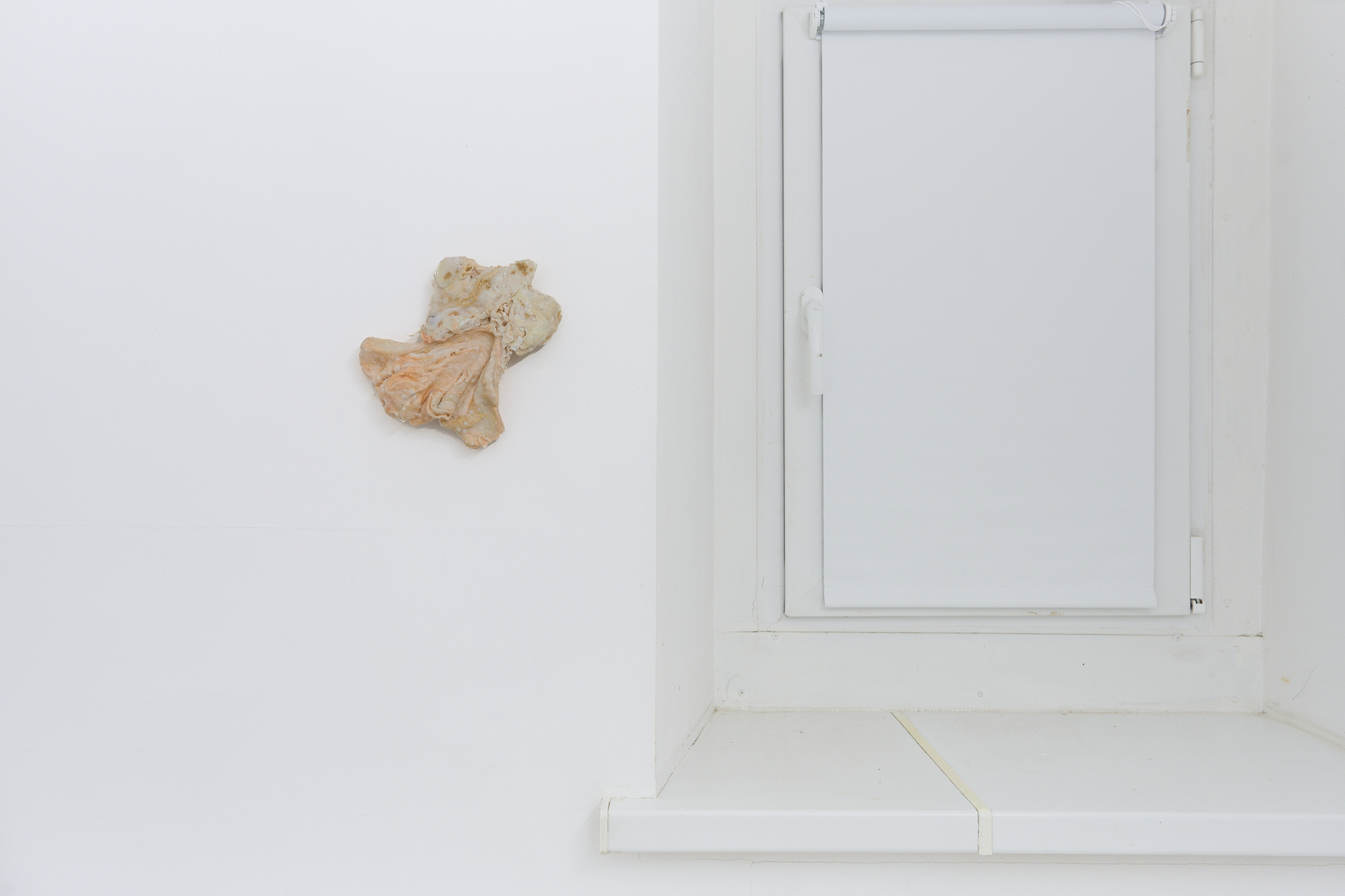 âWhat Lies Beneath the Sheetâ, 2025, polycaprolactone, 20x16cm