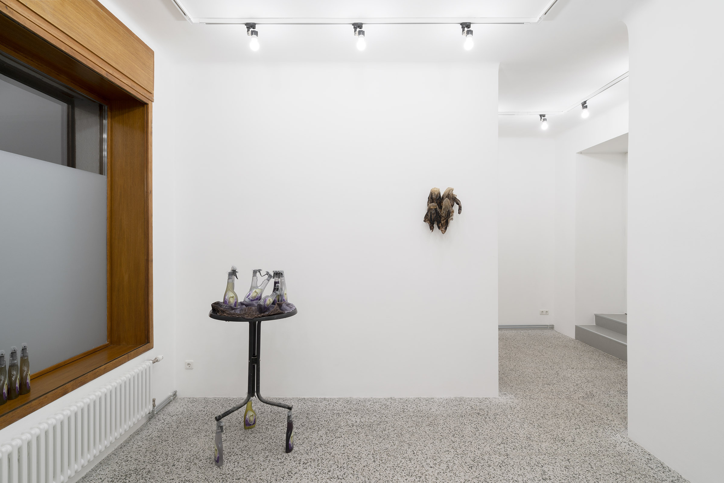 Exhibition view, 2025, Schleuse, Vienna. Photo: repro-photo.net