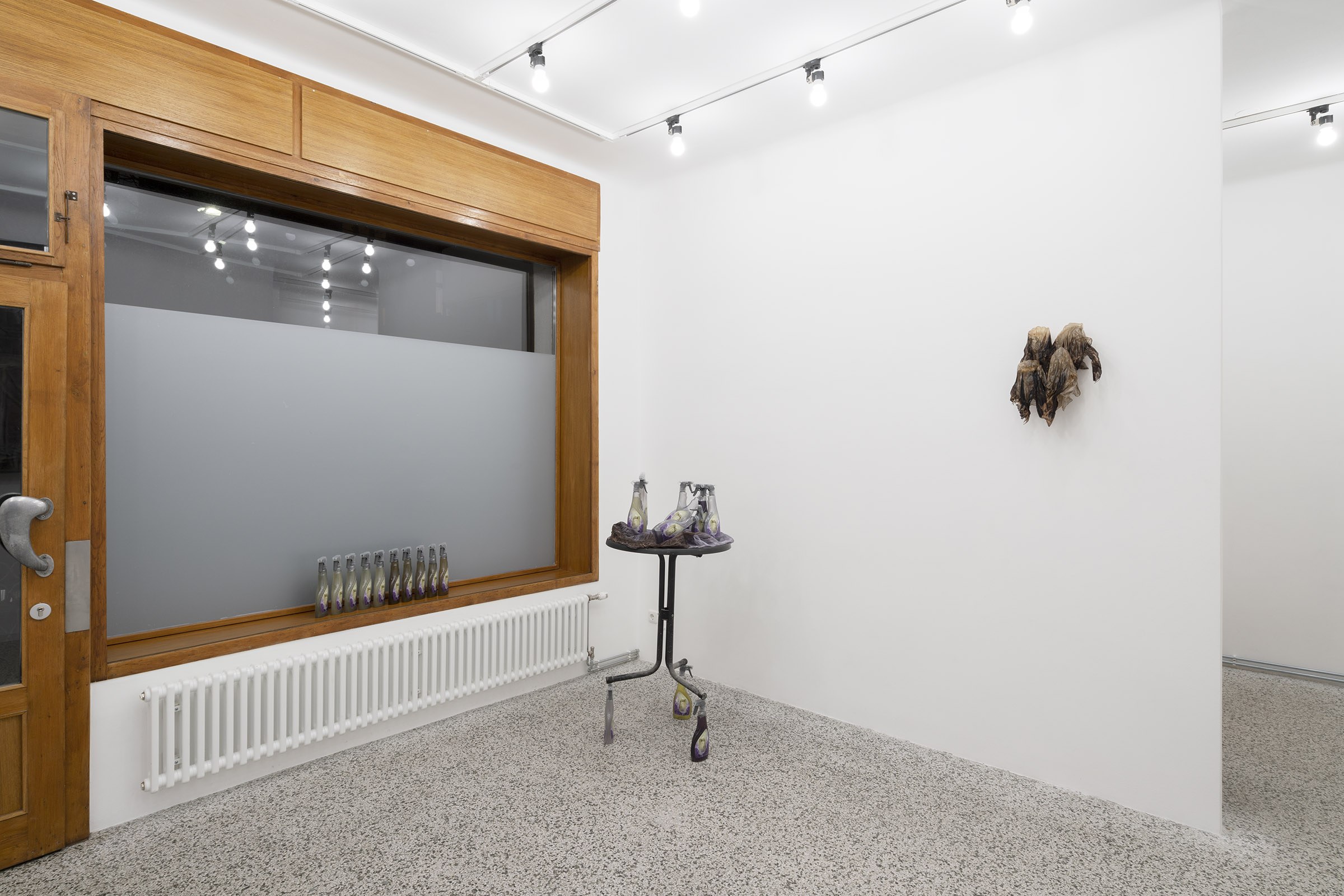 Exhibition view, 2025, Schleuse, Vienna. Photo: repro-photo.net