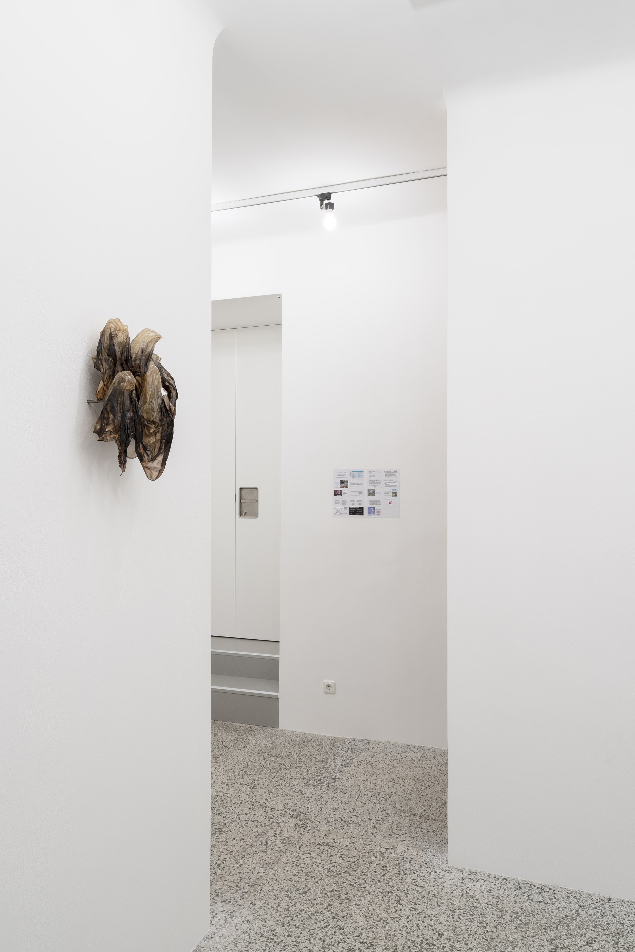 Exhibition view, 2025, Schleuse, Vienna. Photo: repro-photo.net