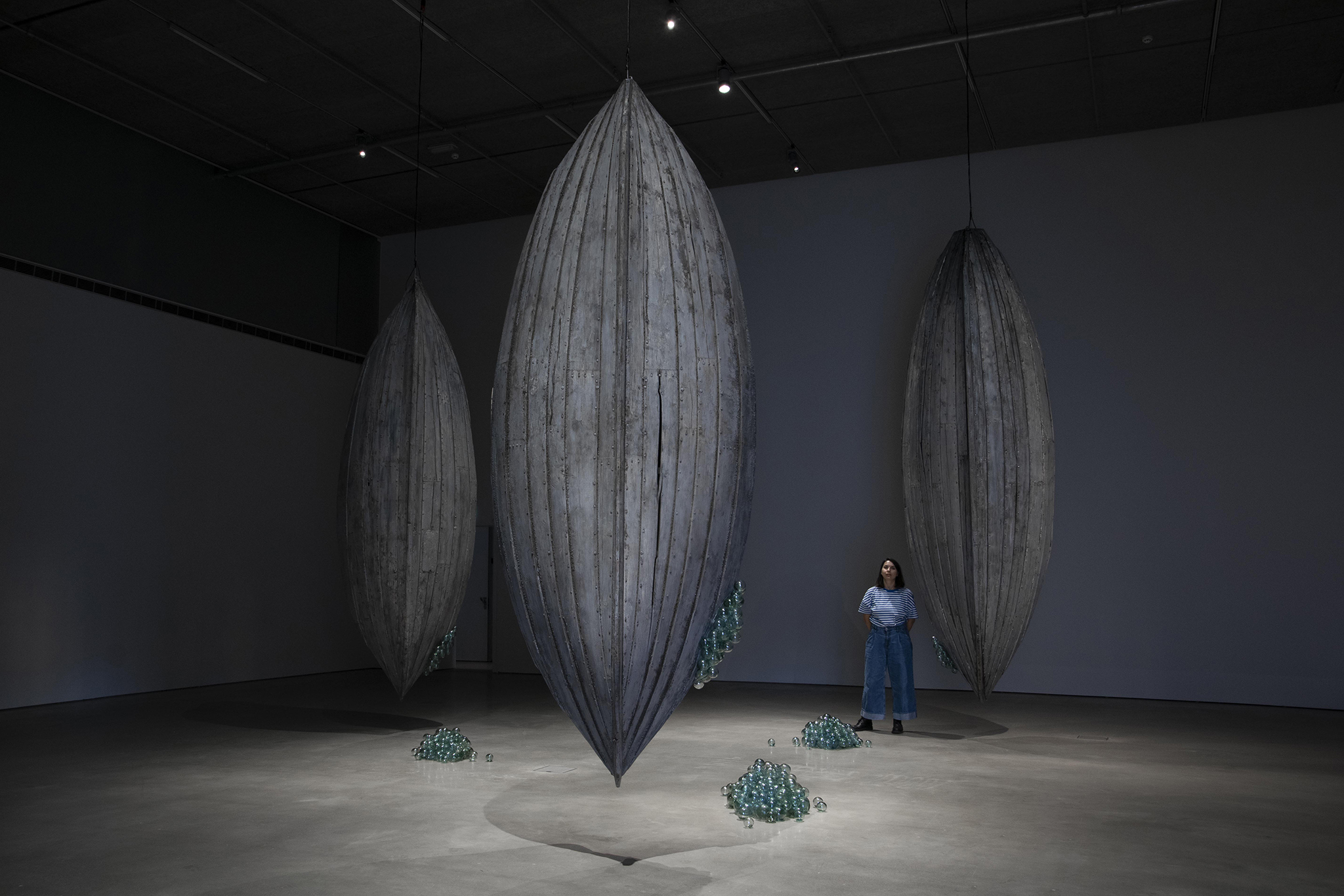 Anastasia Savinova, Dialects of The Deep (in collaboration with sound artist John Andrew Wilhite and marine biologist Rebekah Oomen)