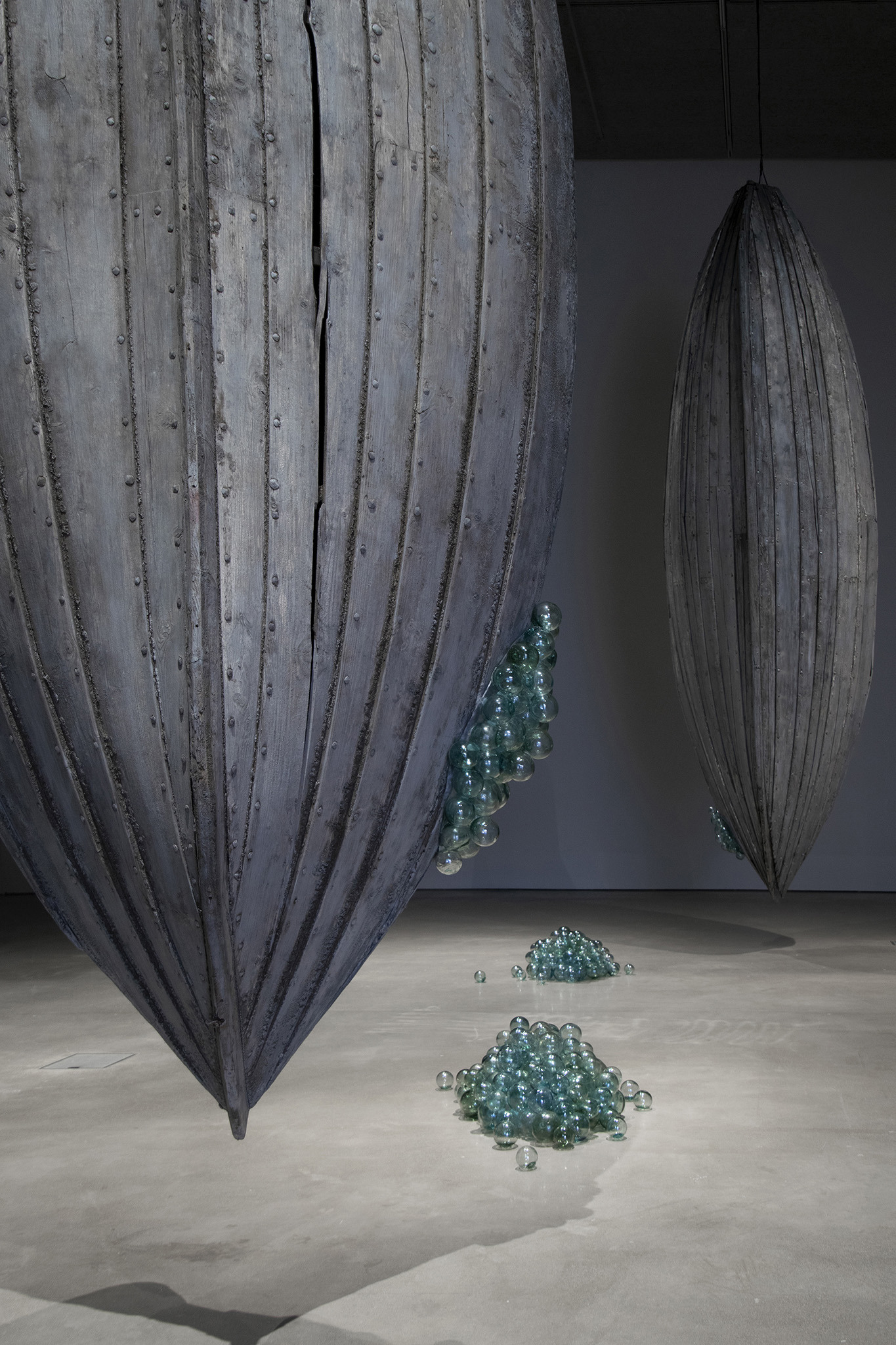 Anastasia Savinova, Dialects of The Deep (in collaboration with sound artist John Andrew Wilhite and marine biologist Rebekah Oomen)