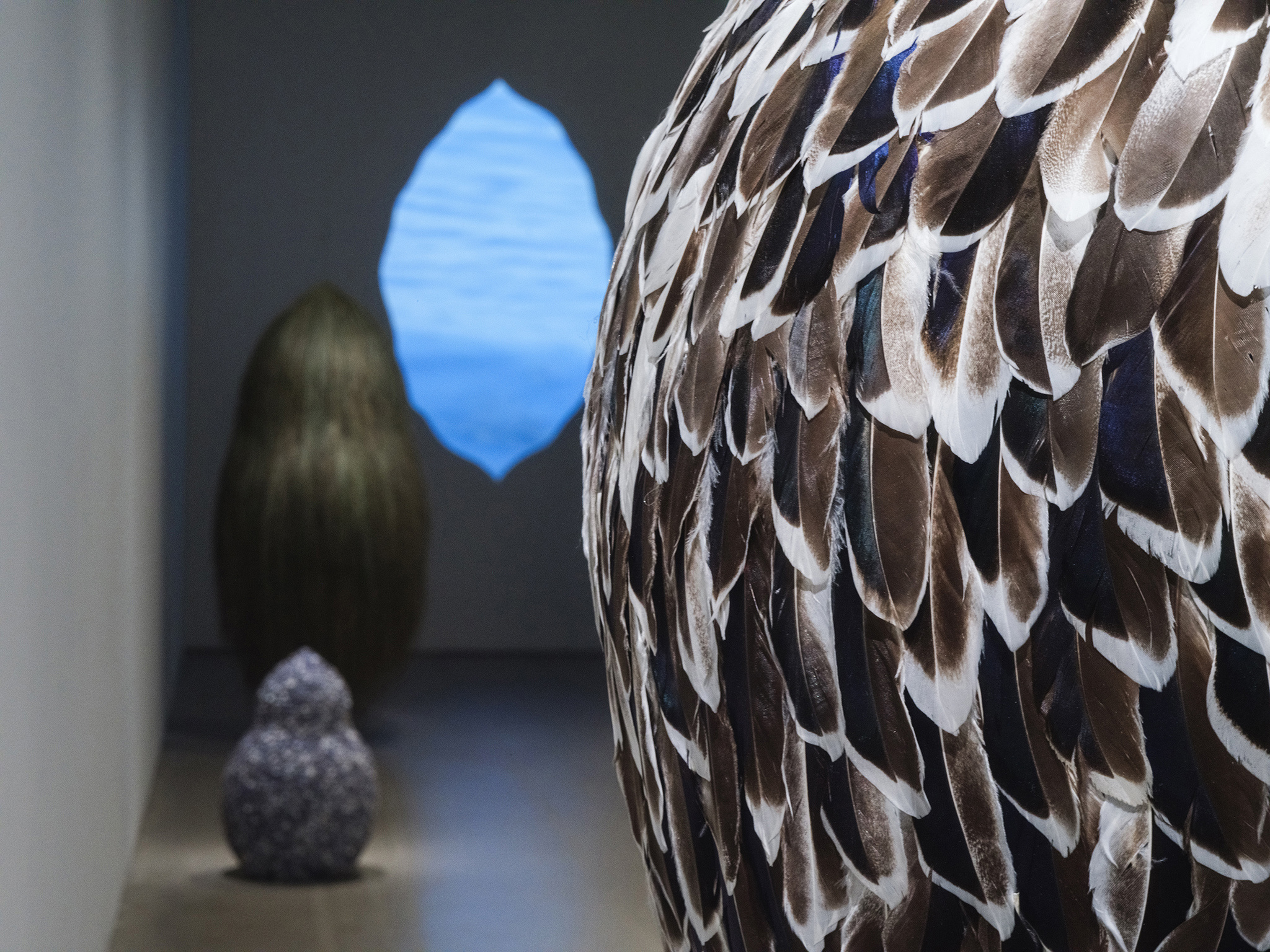 Anastasia Savinova, Tidal Gatherings