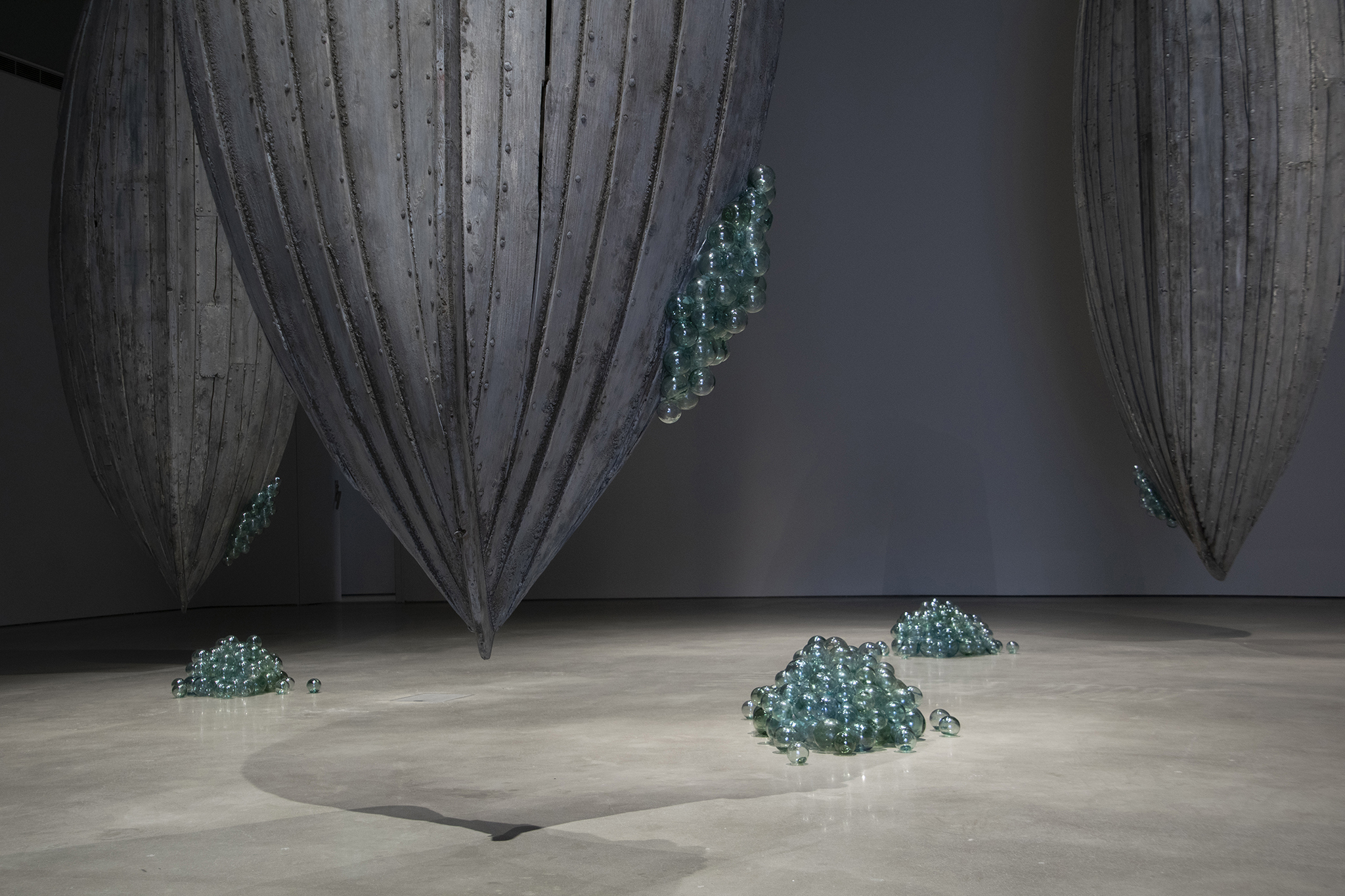 Anastasia Savinova, Dialects of The Deep (in collaboration with sound artist John Andrew Wilhite and marine biologist Rebekah Oomen)
