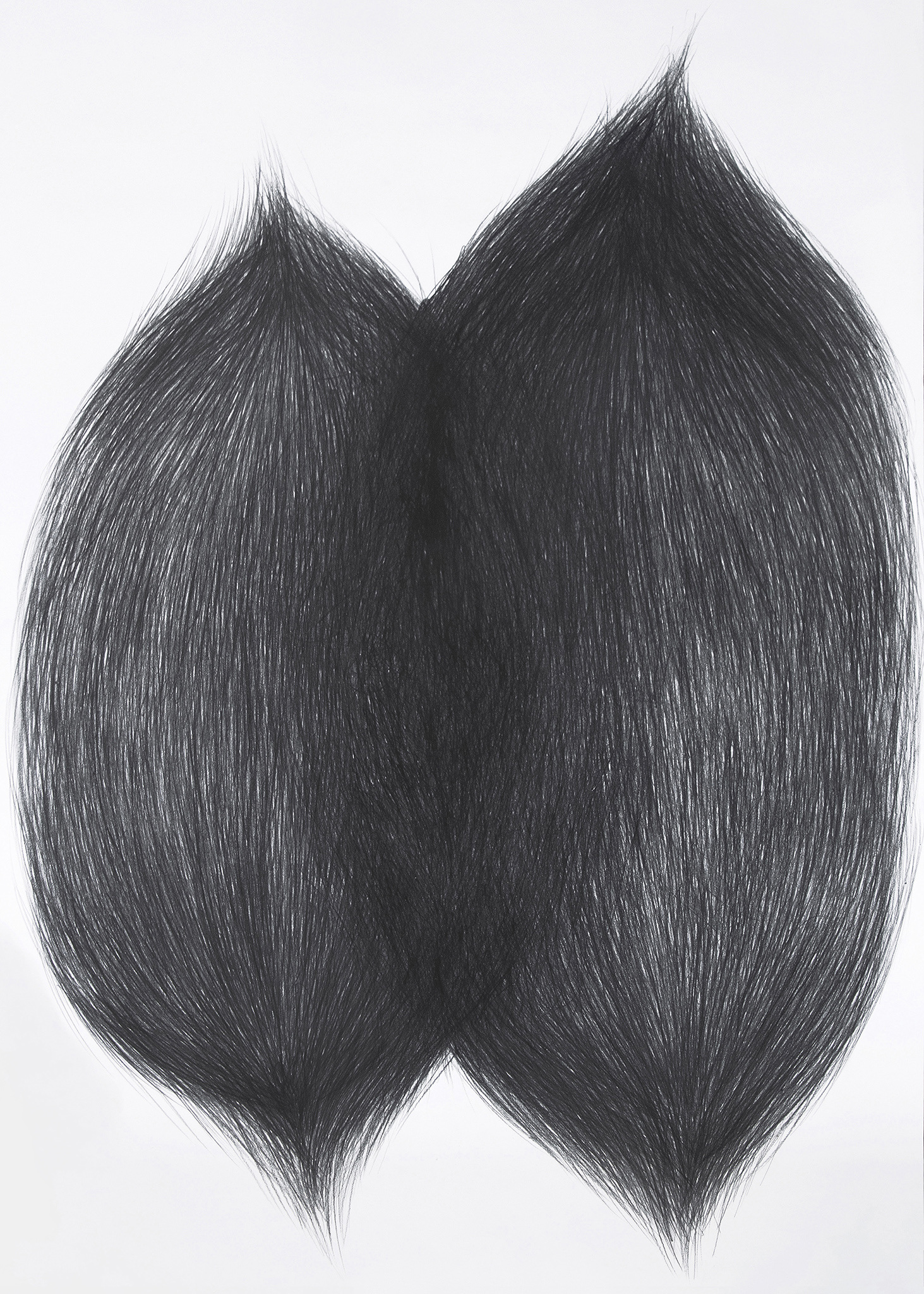 Anastasia Savinova, Geosmin, 2022, graphite on paper, 250x150 cm