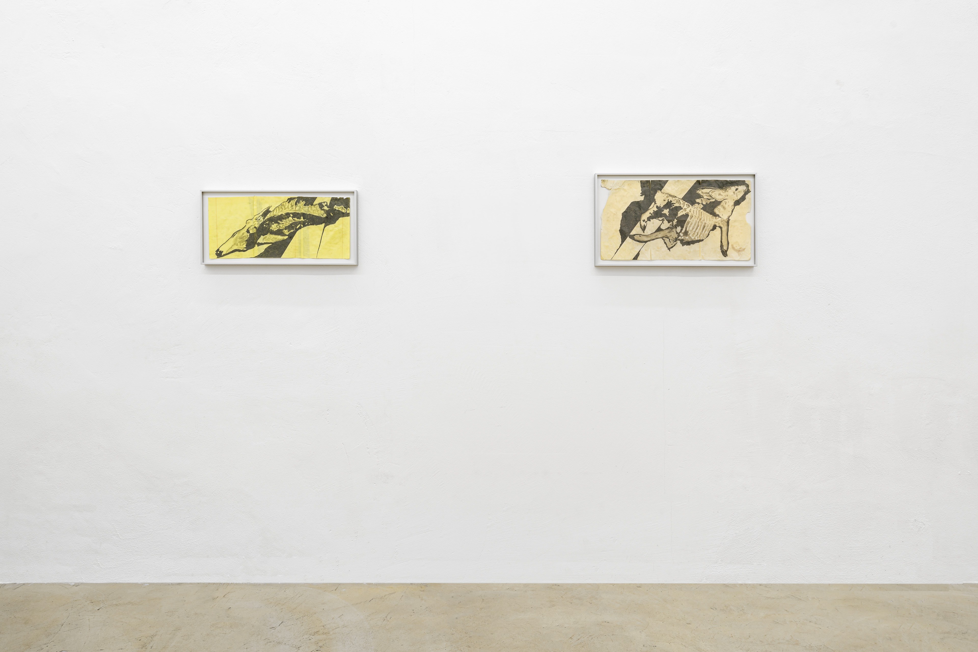 Bri Williams, An arrow shot over the house that hits no one, exhibition view at Clima, Milan 2025