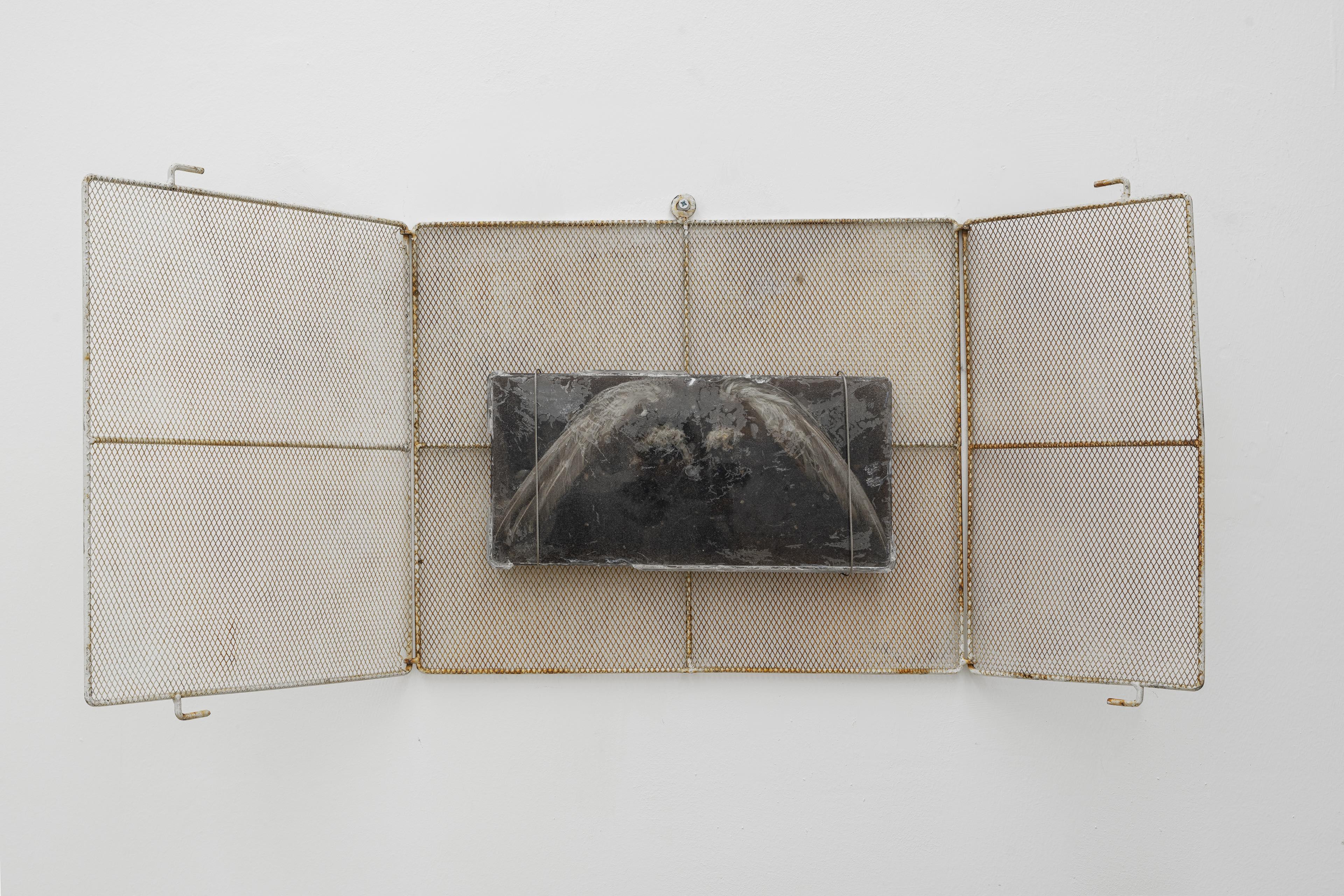 Bri Williams, The Gift, 2024 Resin, bird wings, metal parts, 83x39x26 cm, 32.5x15x10 in