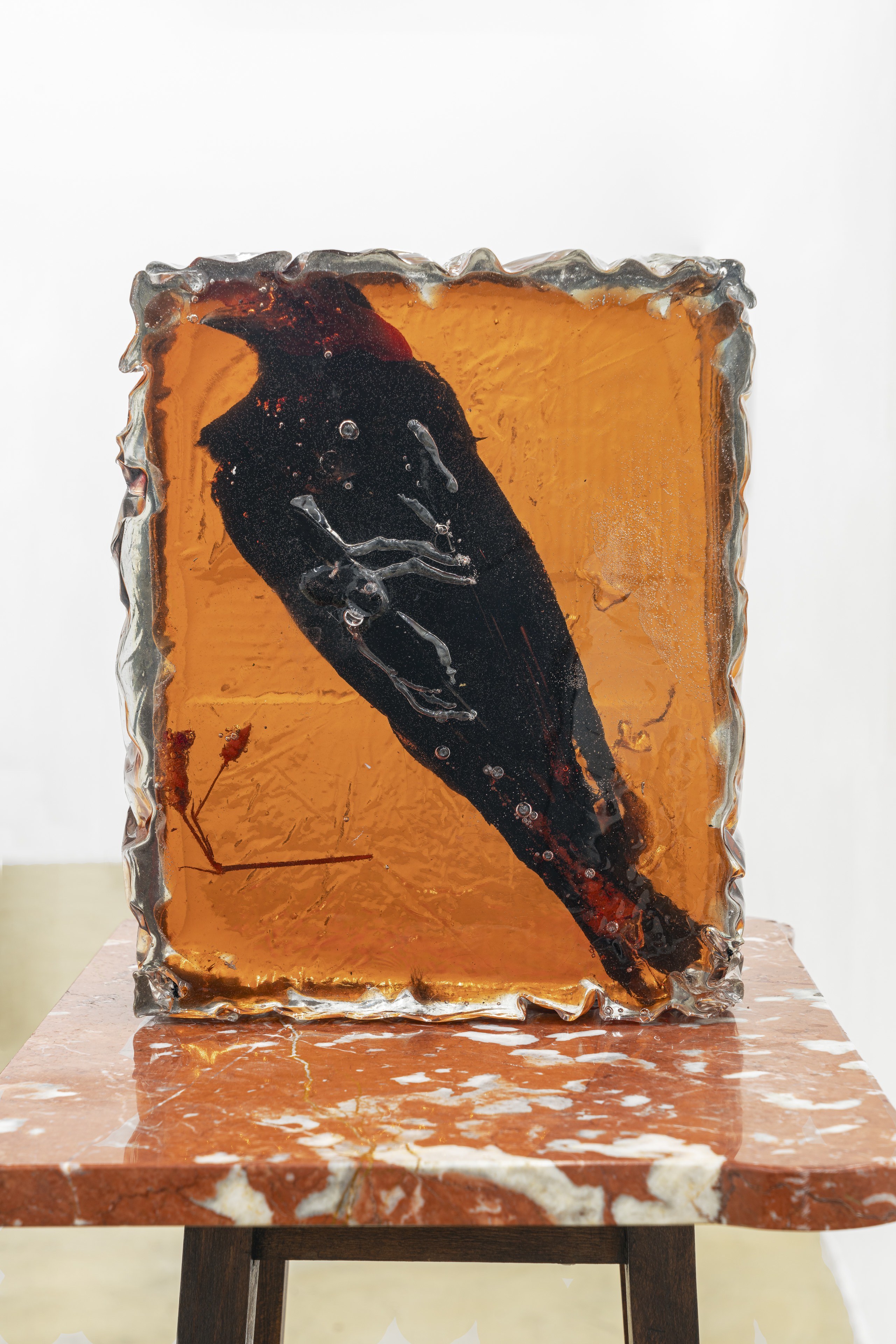 Bri Williams, Omen (Crow), 2024 Resin, flower, marble, wood, 34x149x53 cm, 13x58x20 in