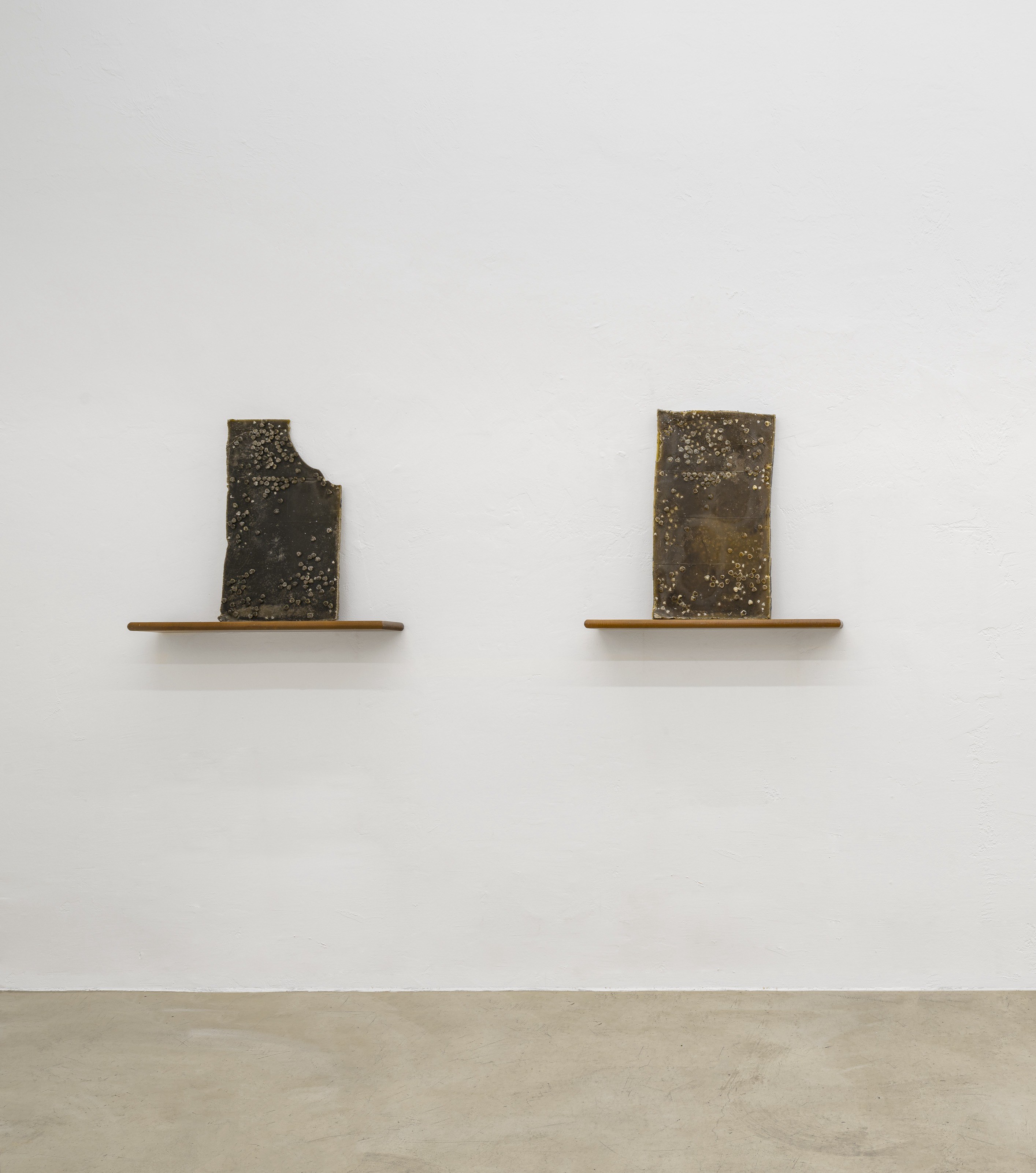Bri Williams, No Manâs Land, 2024 Wax, henna, 37x68x3 cm each, 14x26x1.2 in each