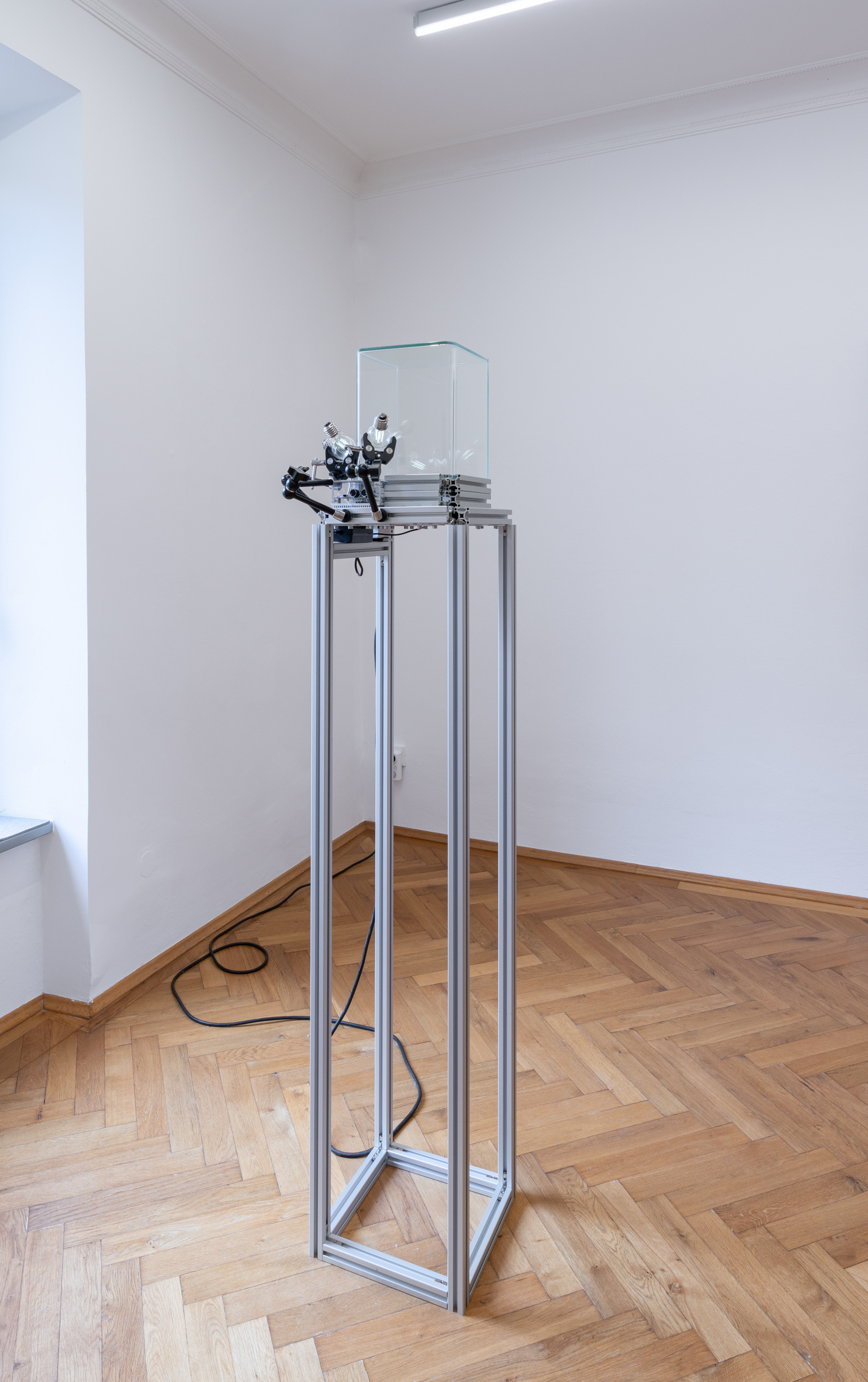 Tatjana Vall, "Giant Leap", 2024, Tesla coil, three daylight bulbs, glass vitrine, motion detector, aluminium profiles, 172 x 27 x 27 cm