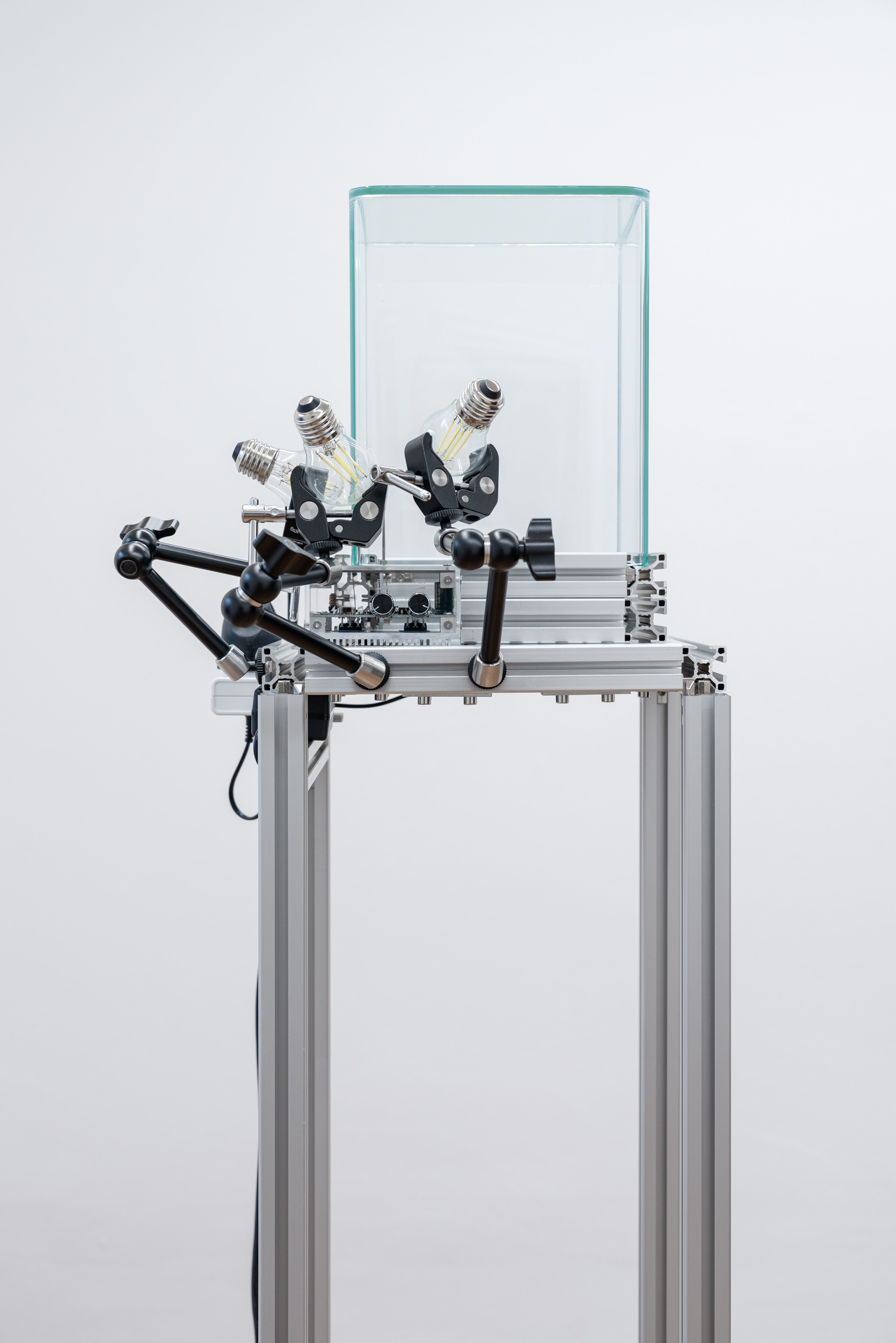 Tatjana Vall, "Giant Leap" (detail), 2024, Tesla coil, three daylight bulbs, glass vitrine, motion detector, aluminium profiles, 172 x 27 x 27 cm