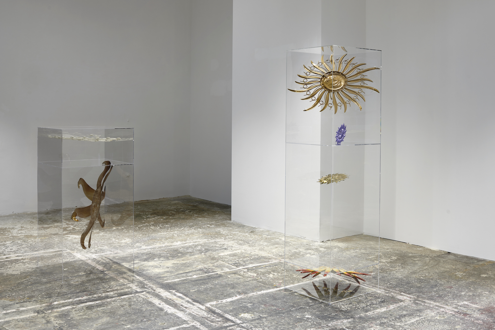 Hêlîn Alas – Dasein, Installation view