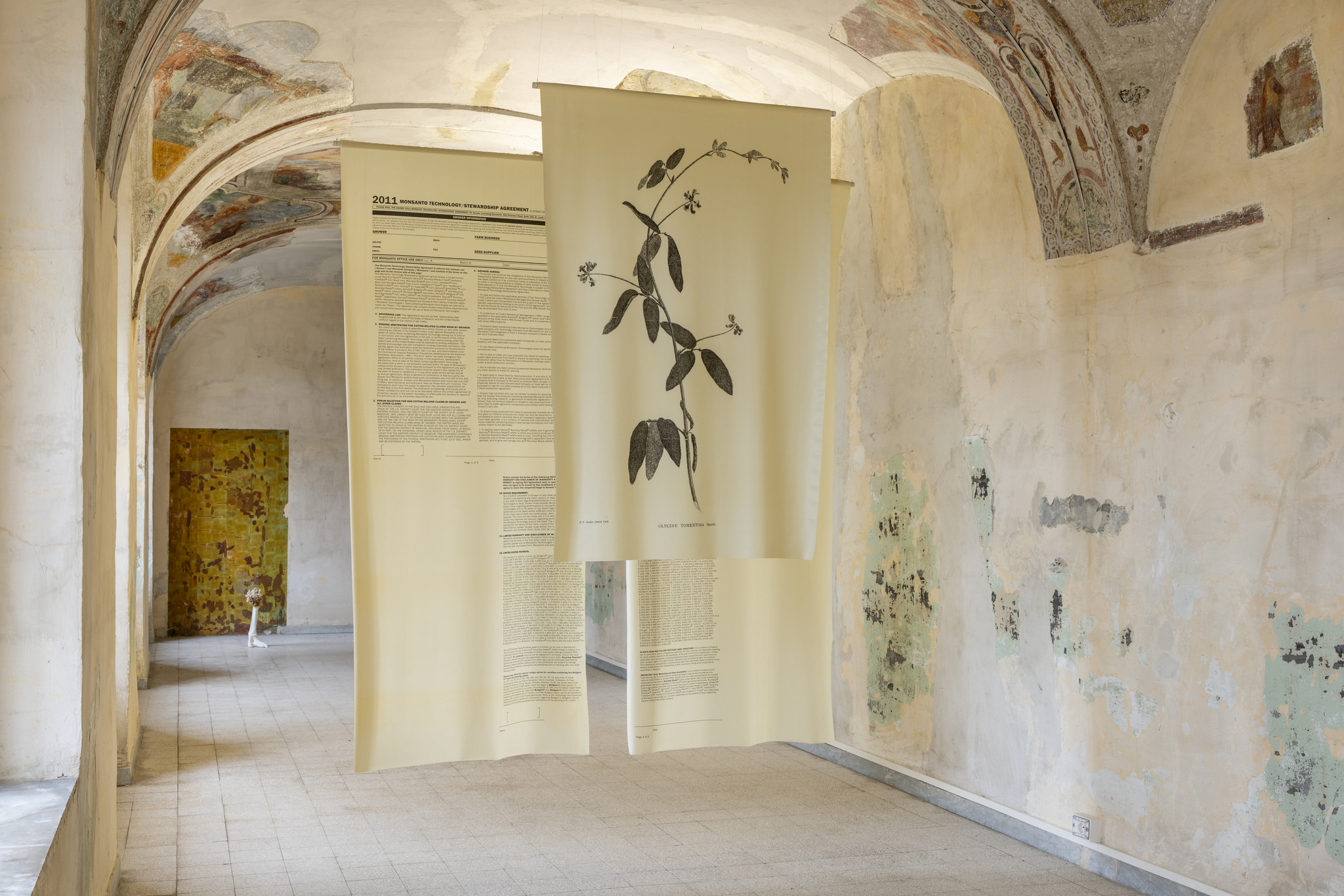 L’istinto ha preservato la mia specie. Luca Petti in dialogo con la collezione Fabio Frasca, exhibition view, La Santissima - Community Hub, Napoli, 2025, ph (c) Danilo Donzelli, courtesy Attiva Cultural Projects