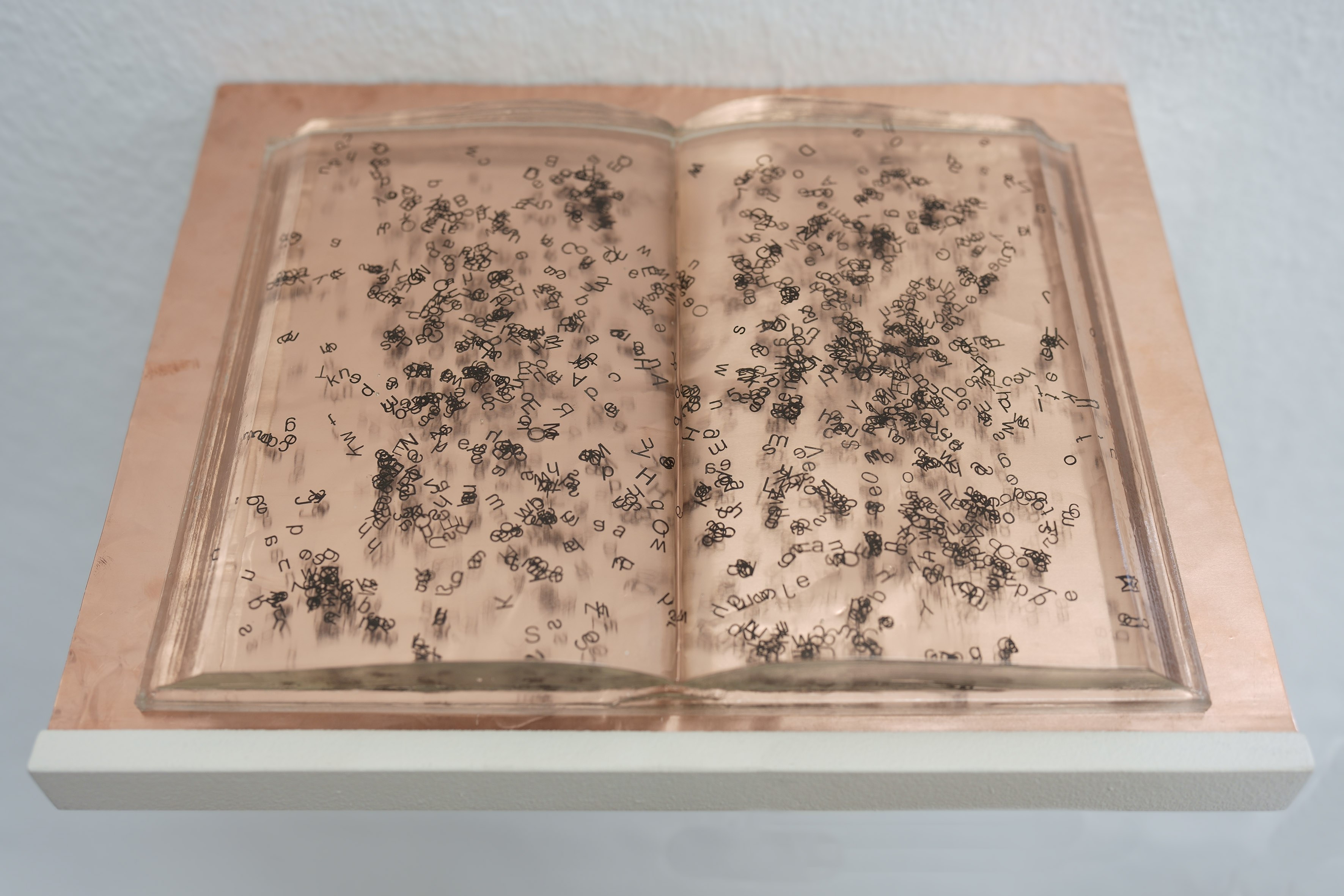 Mariechen Danz, Unlearning (entire histories are learnt by heart), 2015. Photo: Michel Ptasinski.