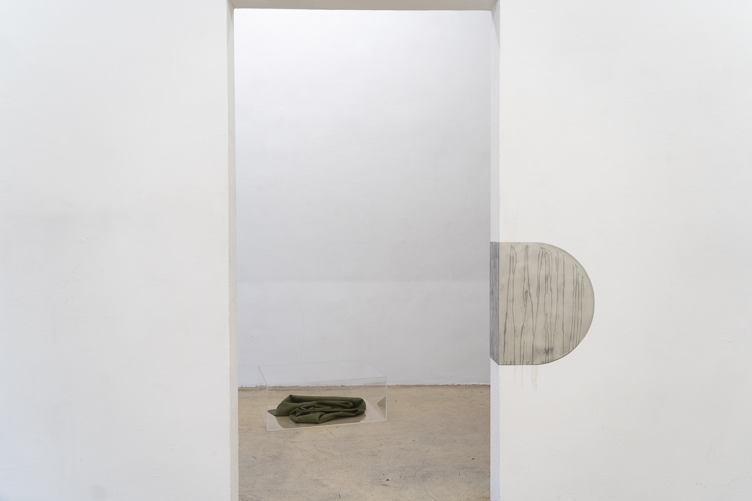 Pigeons, Pack and Perfume, Interspecies Art Hub at WAF Galerie 2025