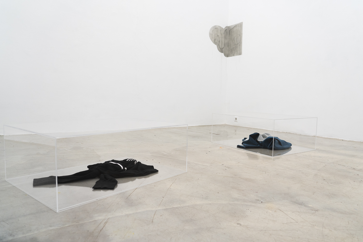 Pigeons, Pack and Perfume, Interspecies Art Hub at WAF Galerie 2025