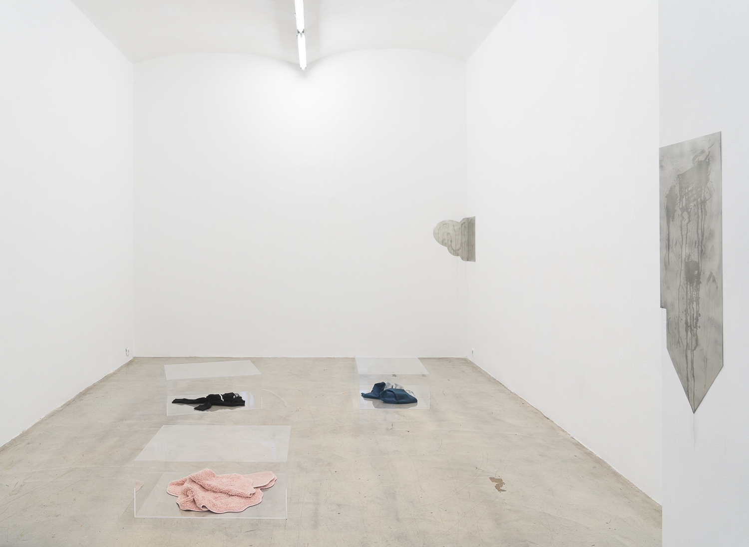 Pigeons, Pack and Perfume, Interspecies Art Hub at WAF Galerie 2025
