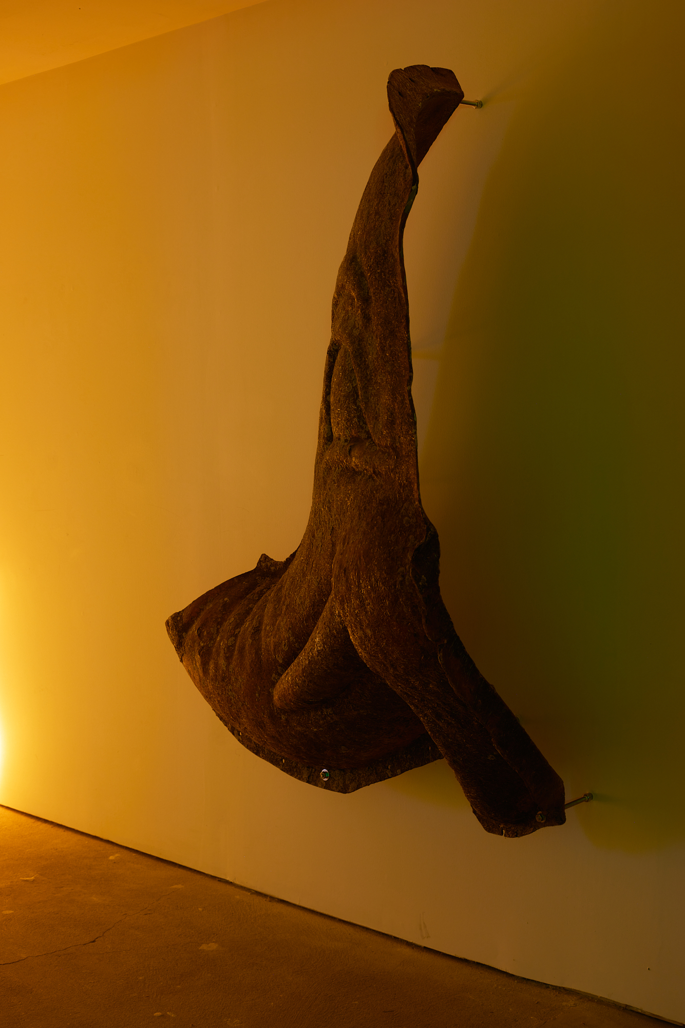 Jacob Jackmauh, âSeeing The Elephant,â 2024. Discarded factory mold, moss, lichen, dirt, hardware, 63 x 49 x 24 inches