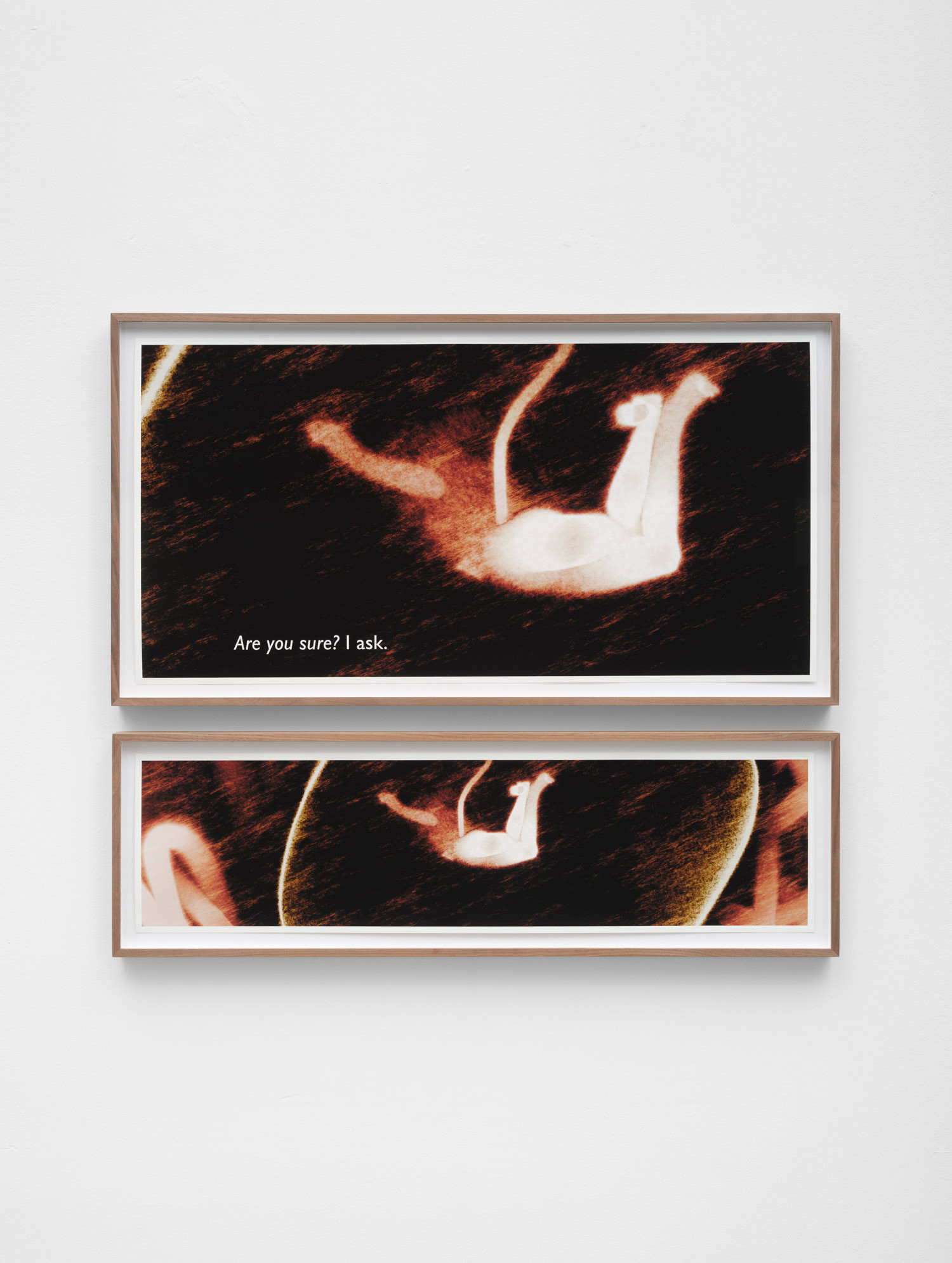 Ana Maria Caballero, Are you sure? I ask., 2025 Print, framed, including the digital file 50 x 100 cm / 25 x 100 cm Unique