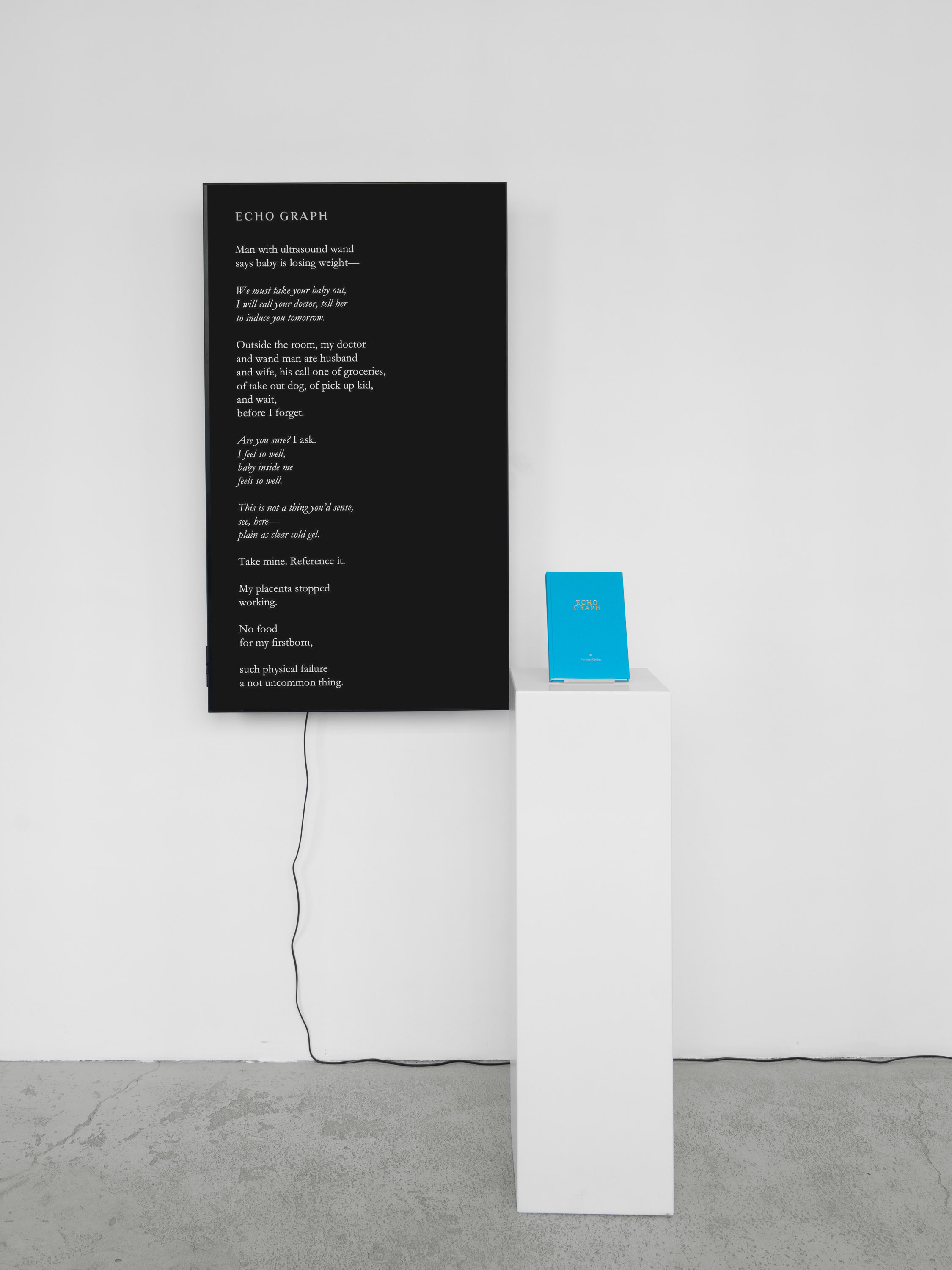 Ana Maria Caballero, Echo Graph - Book Sculpture, 2025 Book, MP4, 02:07 min, 1080 x 1920, Bitcoin text-only inscription 18 x 12 x 3 cm