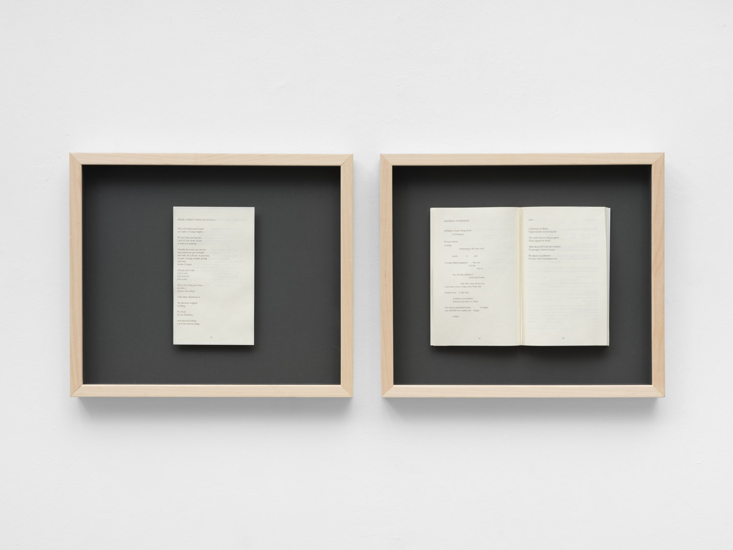 Ana Maria Caballero, Echo Graph - Page Break, 2025 Framed diptych containing a book and a single page 44 x 38 x 4.5 cm, each
