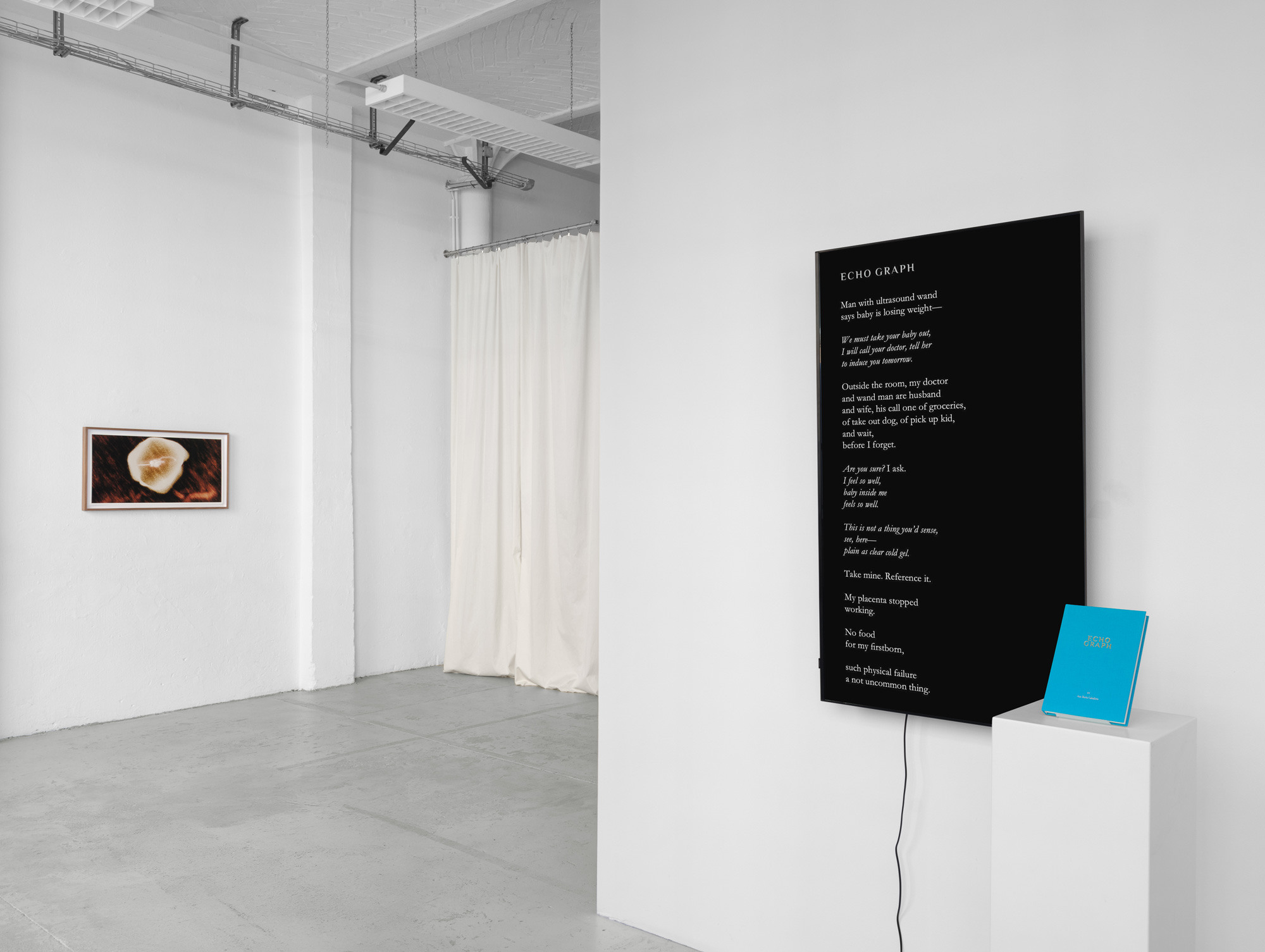 Ana Maria Caballero, Echo Graph, 2024, exhibition view