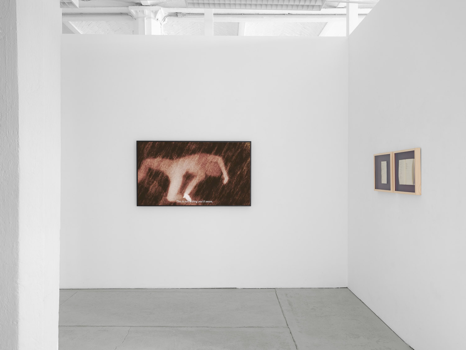 Ana Maria Caballero, Echo Graph, 2024, exhibition view