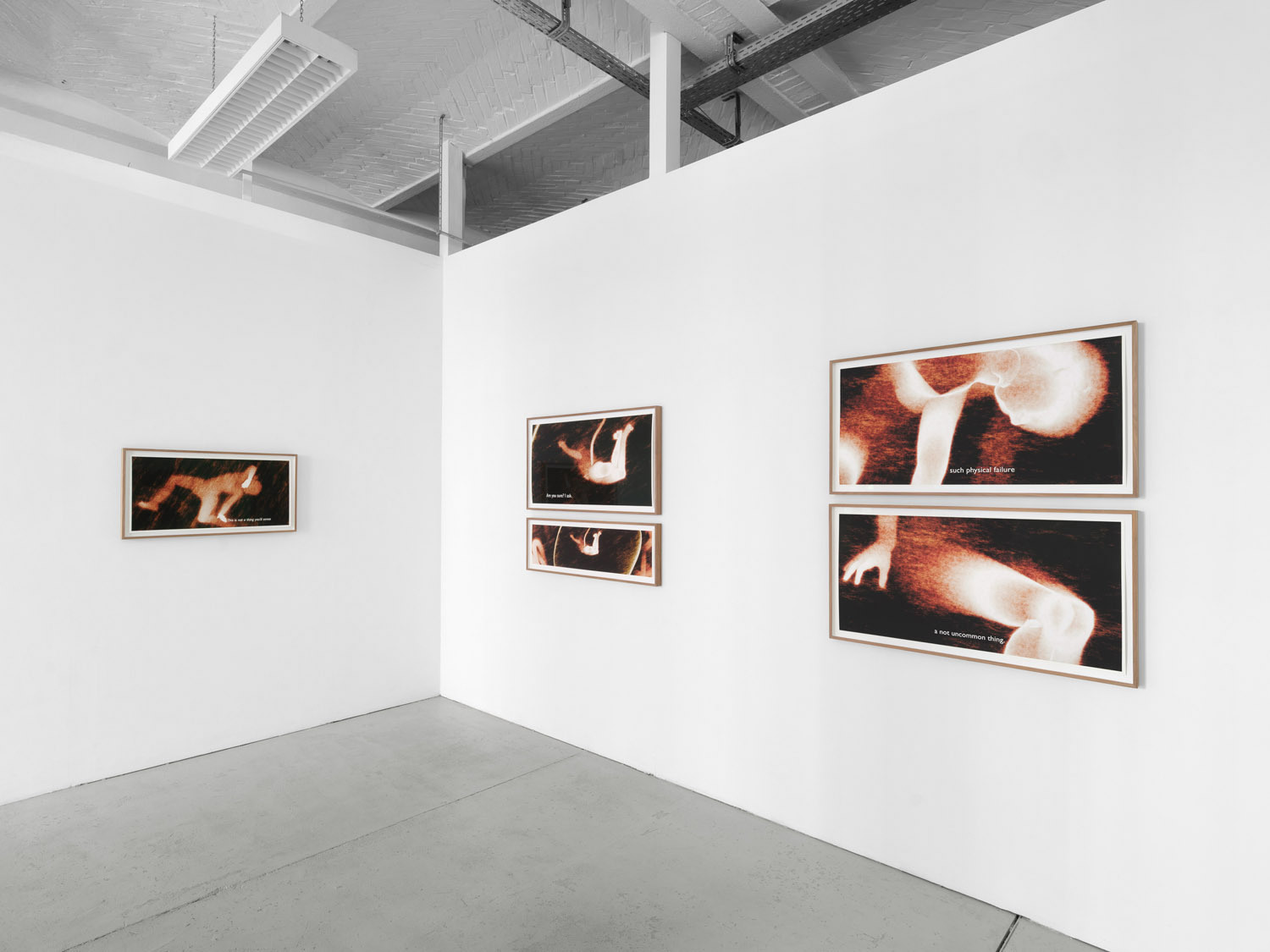Ana Maria Caballero, Echo Graph, 2024, exhibition view