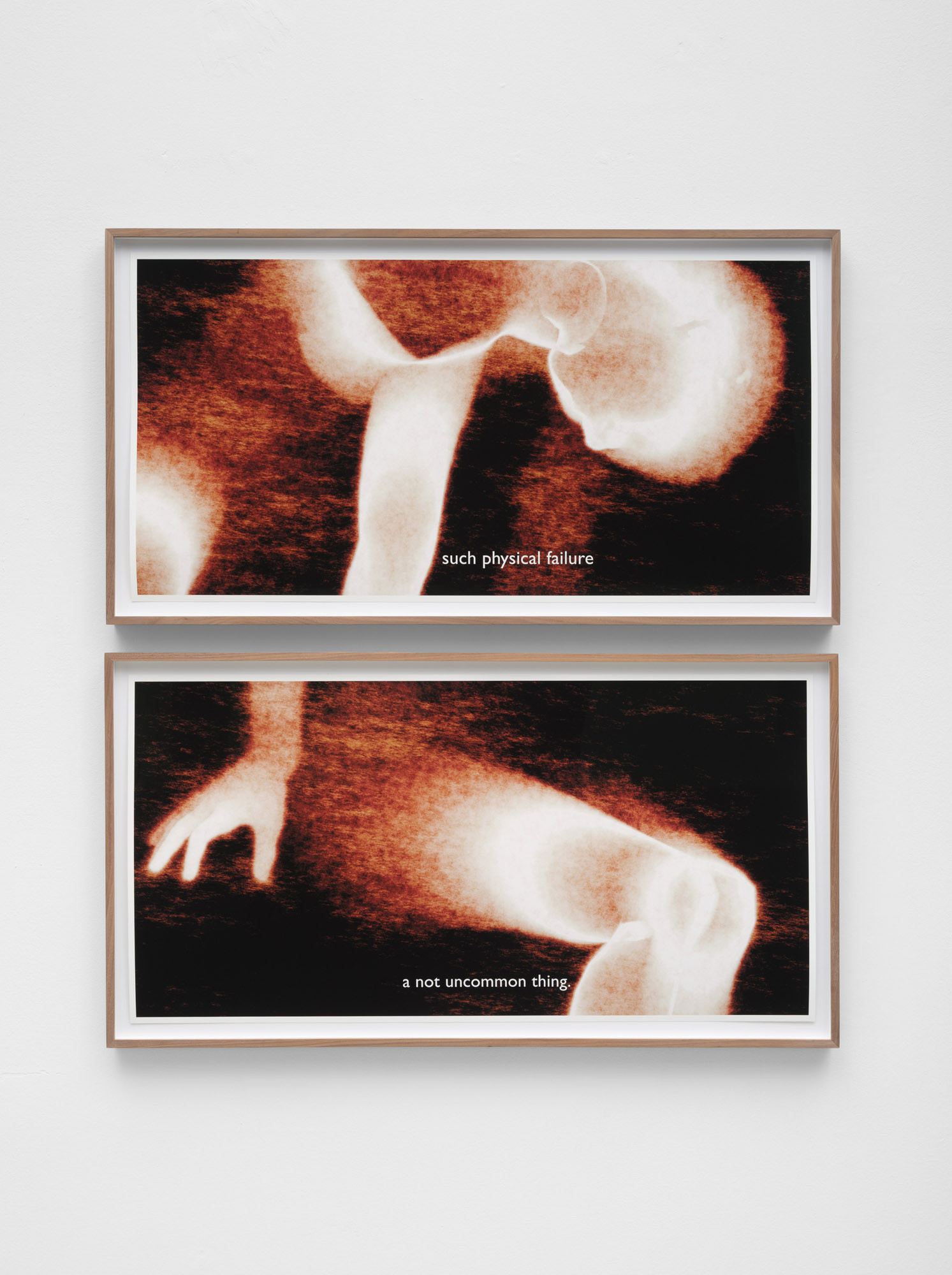 Ana Maria Caballero, such physical failure a not uncommon thing, 2025 Print, framed, including the digital file 50 x 100 cm, each Unique