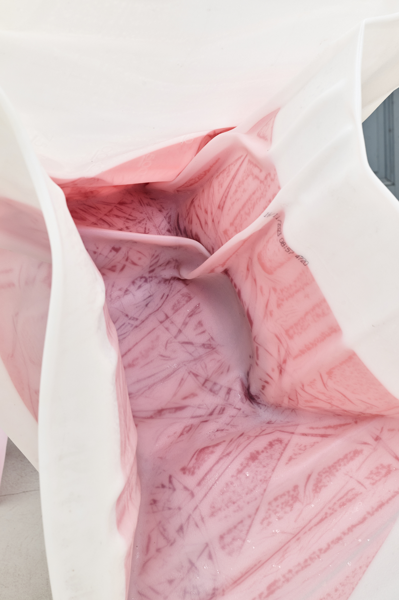 Sacha Kanah, A Little Green Rosetta, 2025, detail