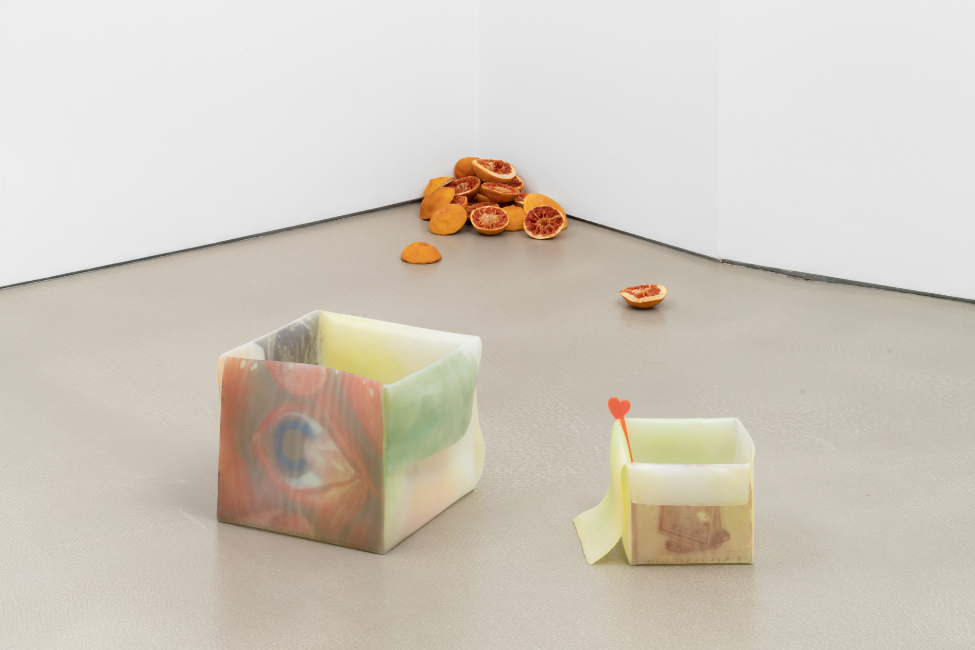 View of the exhibition "flor da pele"