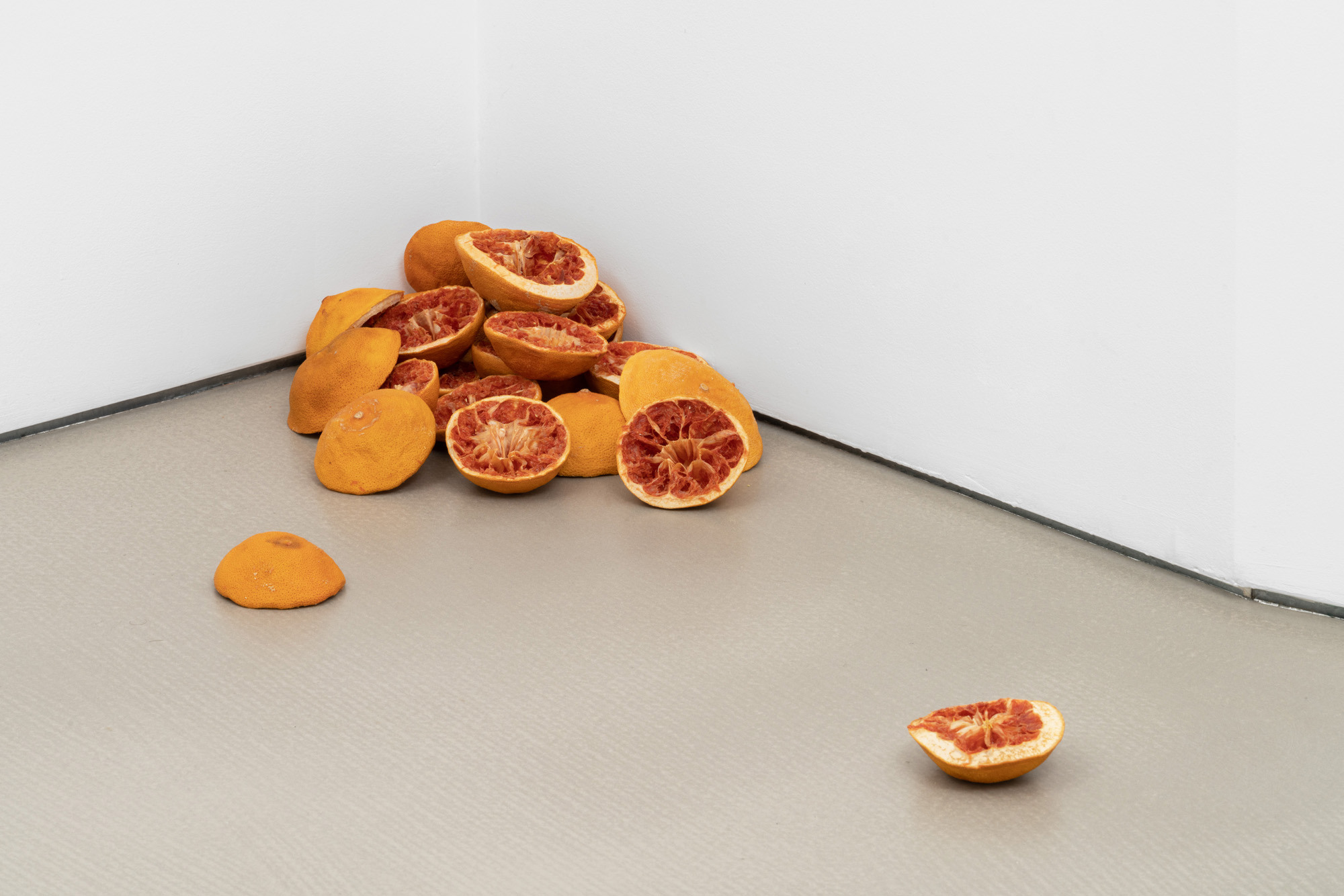 amargura, 2025 - Dehydrated grapefruit peels
