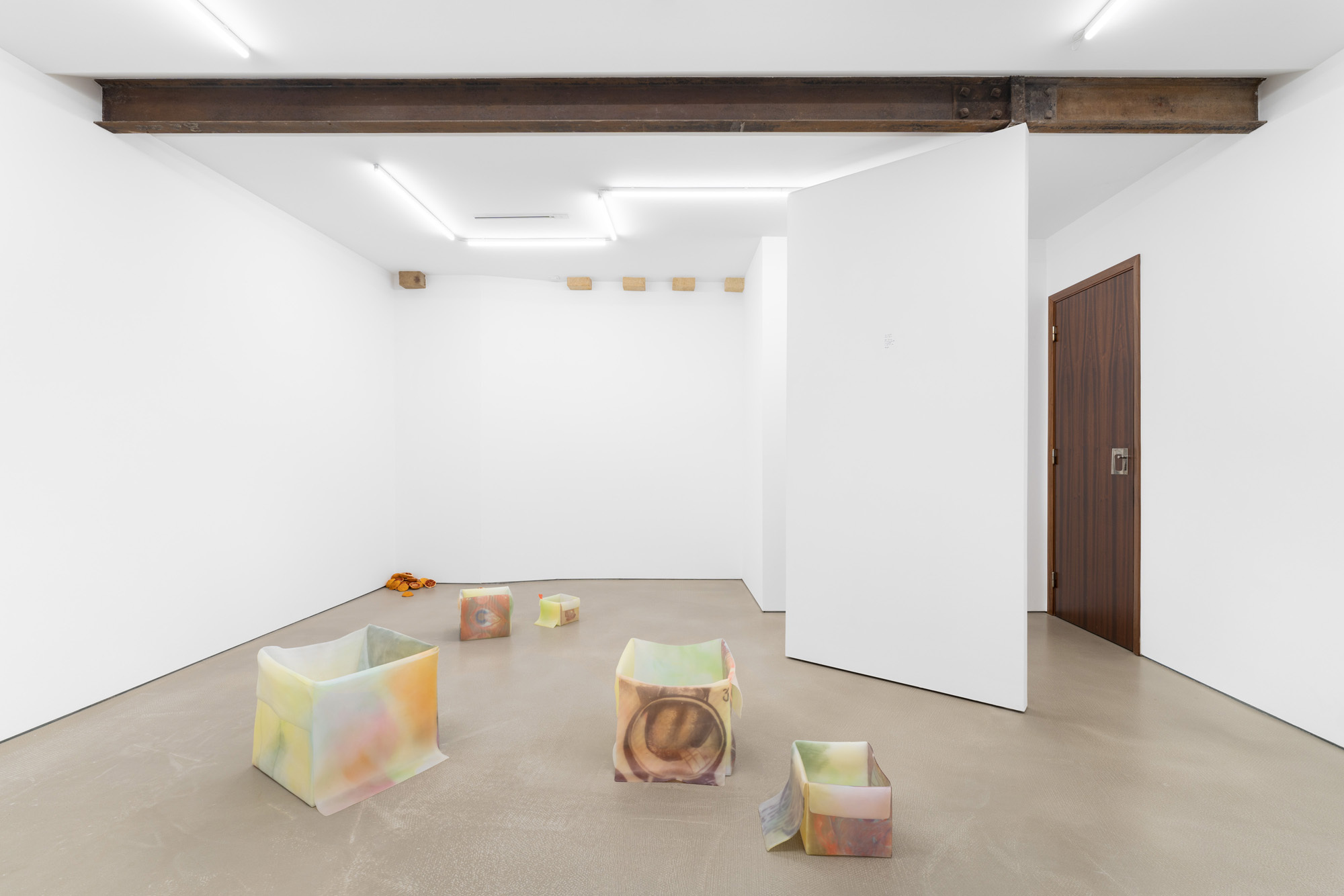 View of the exhibition "flor da pele"