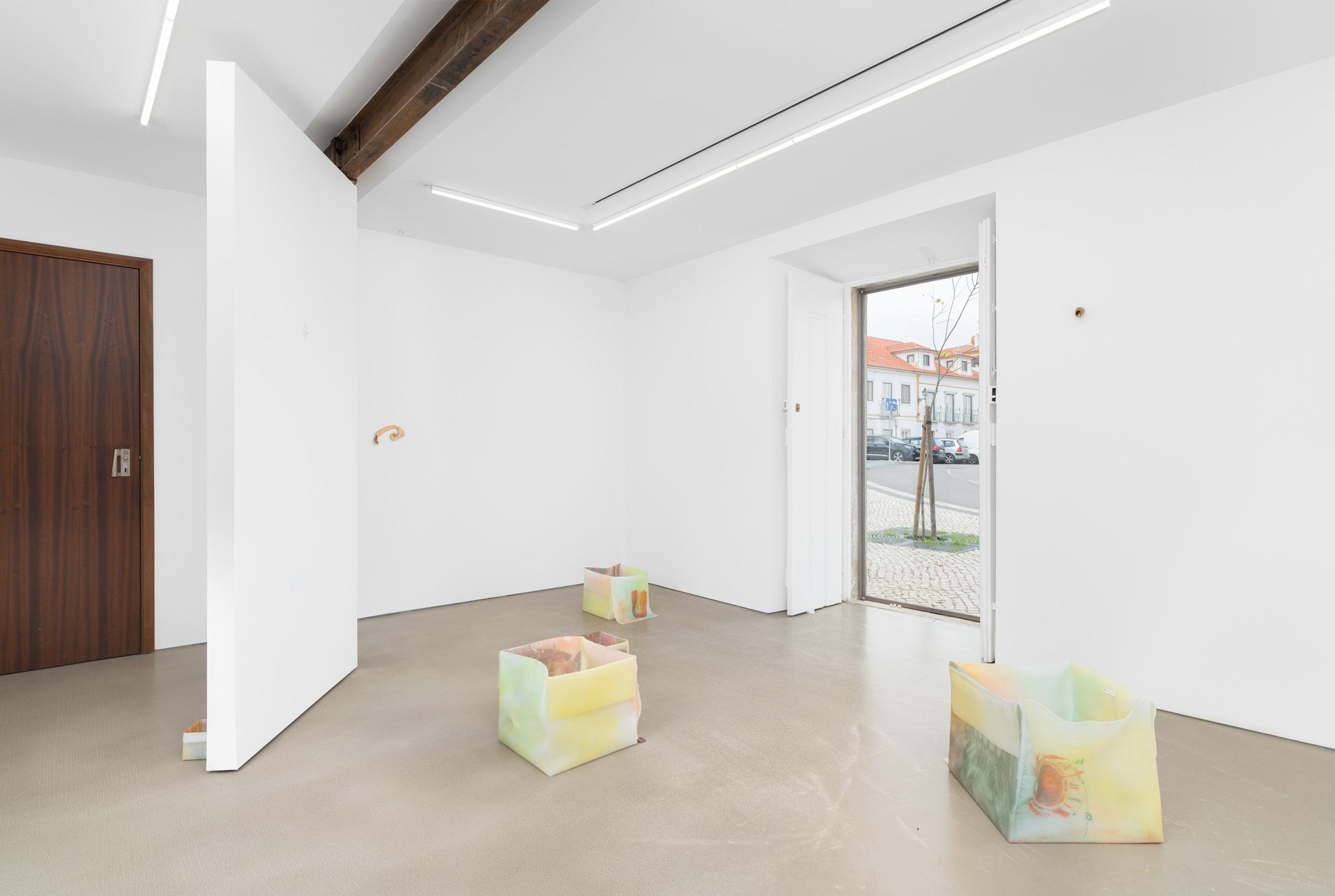 View of the exhibition "flor da pele"