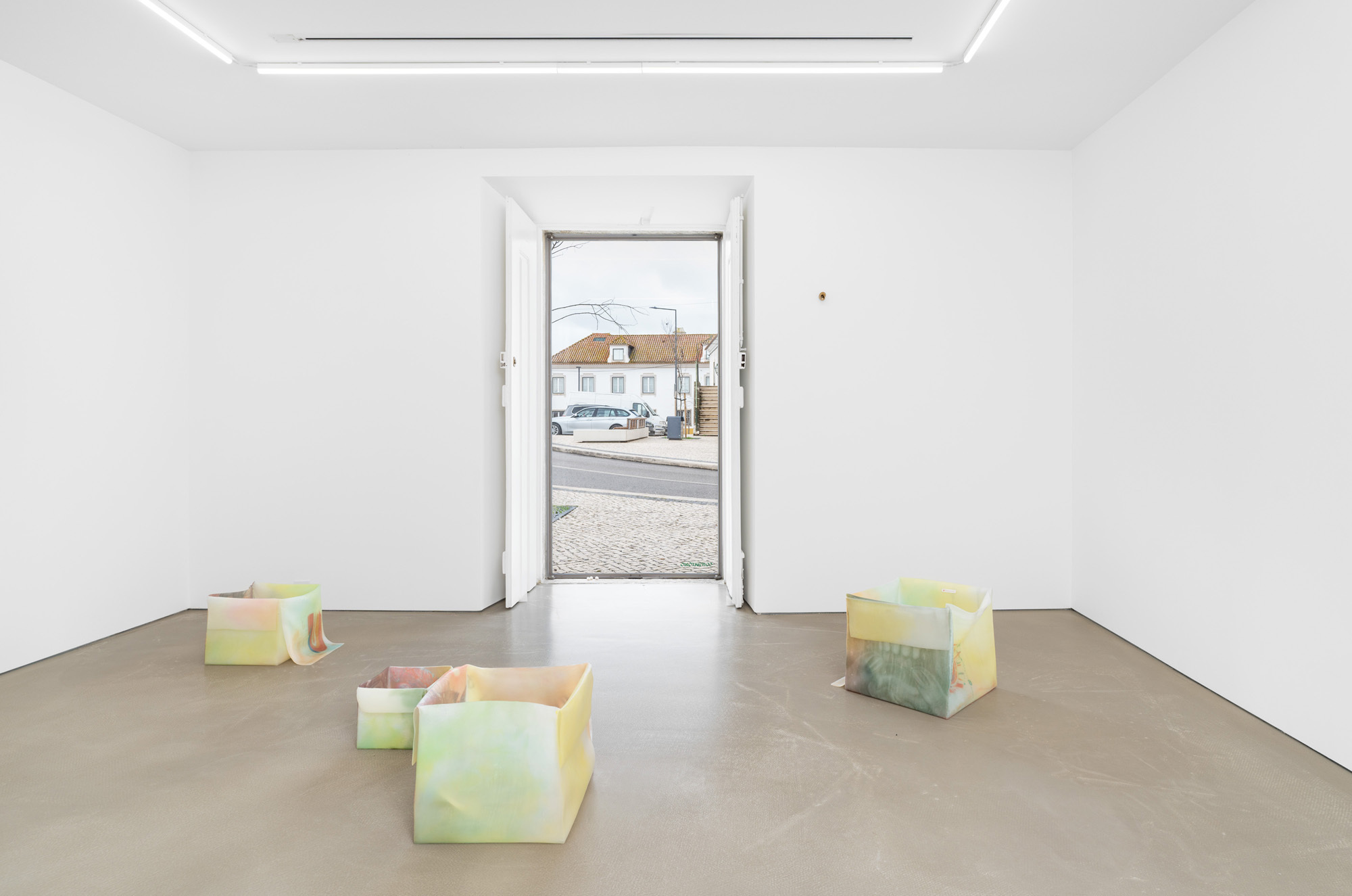 View of the exhibition "flor da pele"