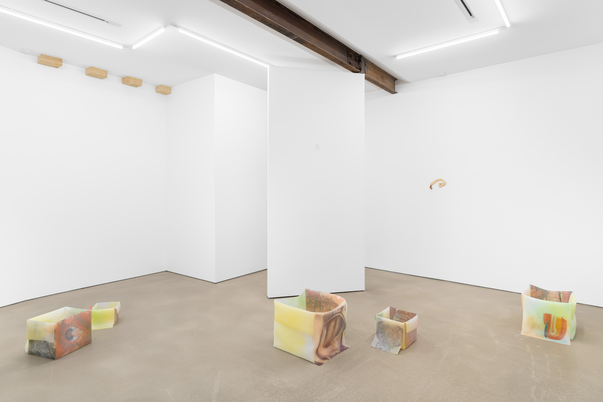 View of the exhibition "flor da pele"