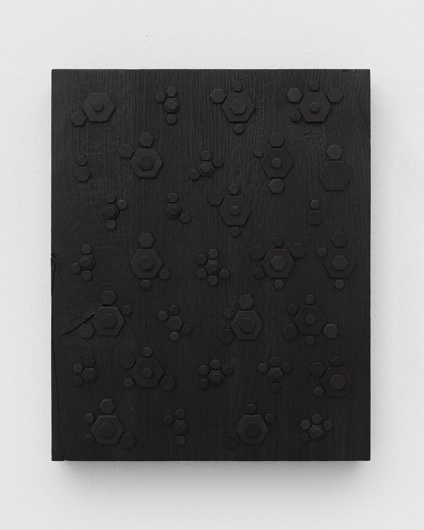 Ivan Murzin, Floral affairs, 2024, Burned Wood (walnut tree), Glue, Varnish, 32,5 x 40 x 5,5 cm © basis e.V., photo: Ivan Murzin