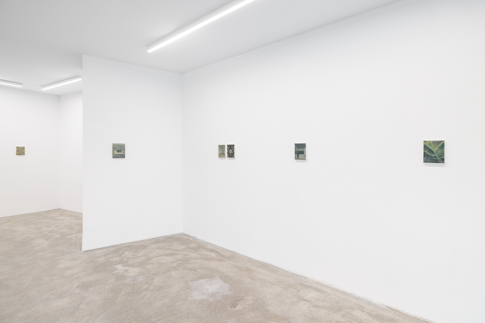 Installation View: Kate Wallace, 'A View Through A Window', at COMMUNE, Vienna