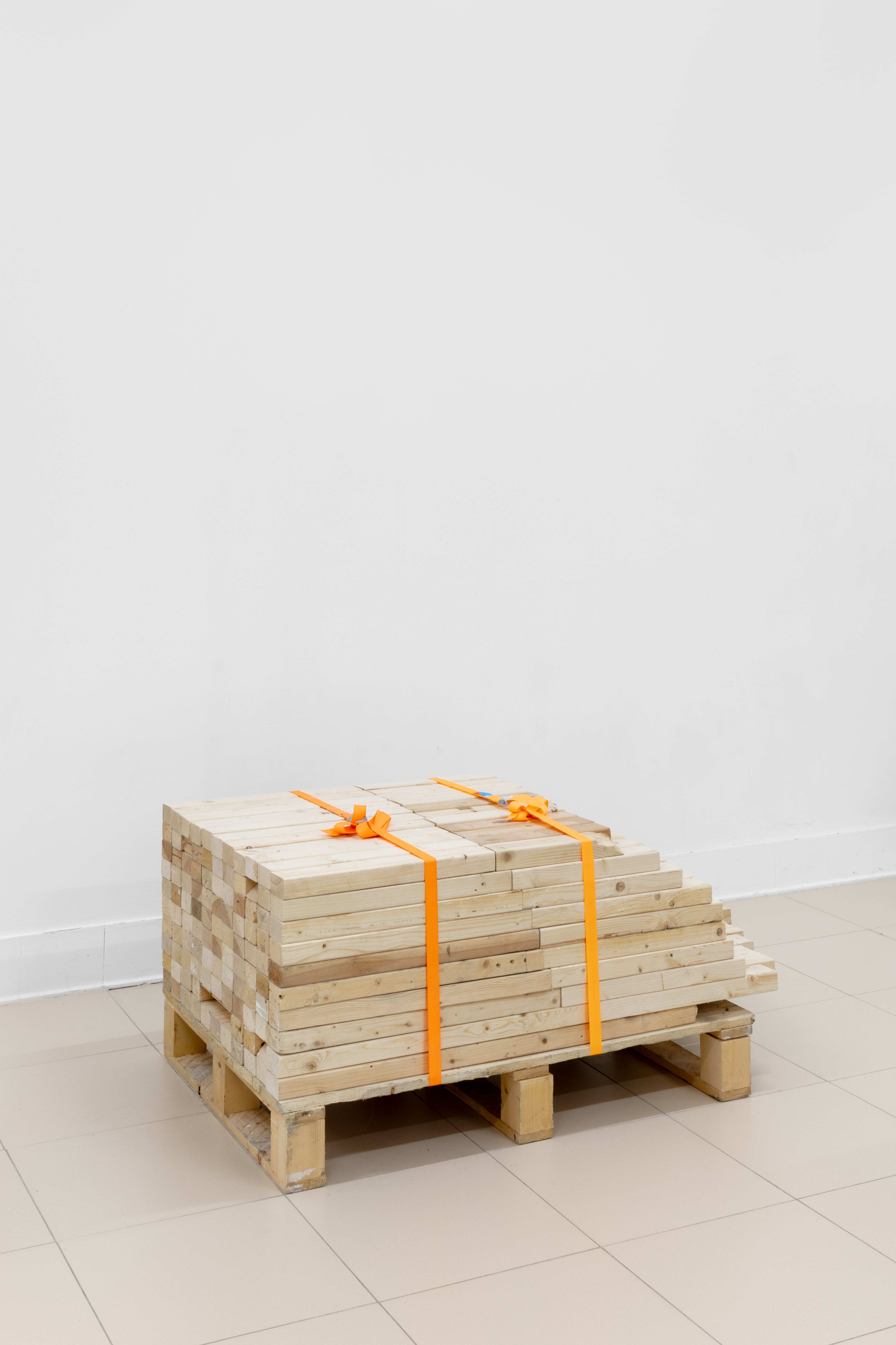 Yoel Pytowski, Dormant Body, 2025. Multi-media installation, detail. Dormant Body. After The Porous Lodge, curated by Zuzanna Rachowska and Camille Van Meenen, 07/02-21/03/2025, KOMPLOT Brussels. Image courtesy of Silvia Cappellari.