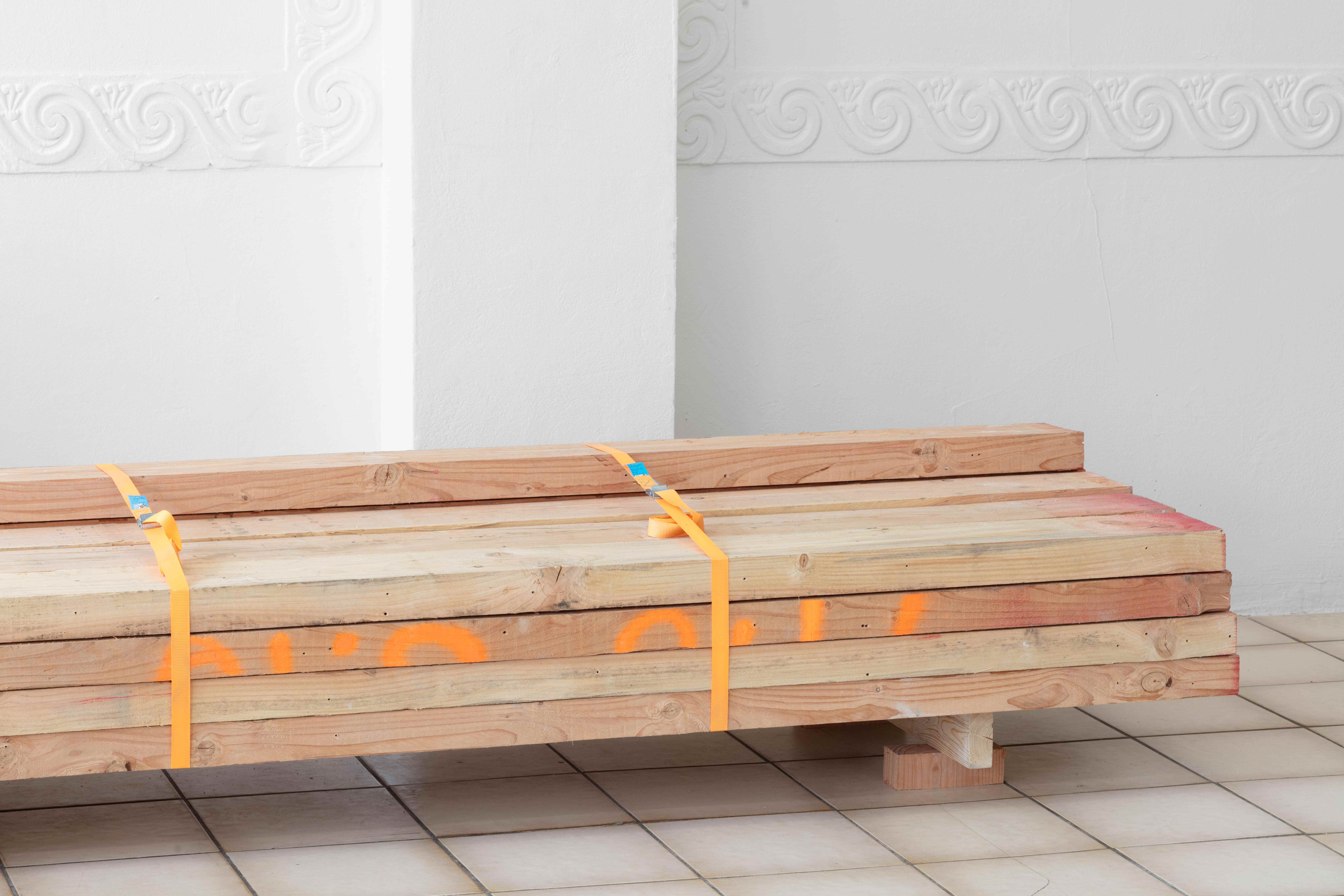 Yoel Pytowski, Dormant Body, 2025. Multi-media installation, detail. Dormant Body. After The Porous Lodge, curated by Zuzanna Rachowska and Camille Van Meenen, 07/02-21/03/2025, KOMPLOT Brussels. Image courtesy of Silvia Cappellari.