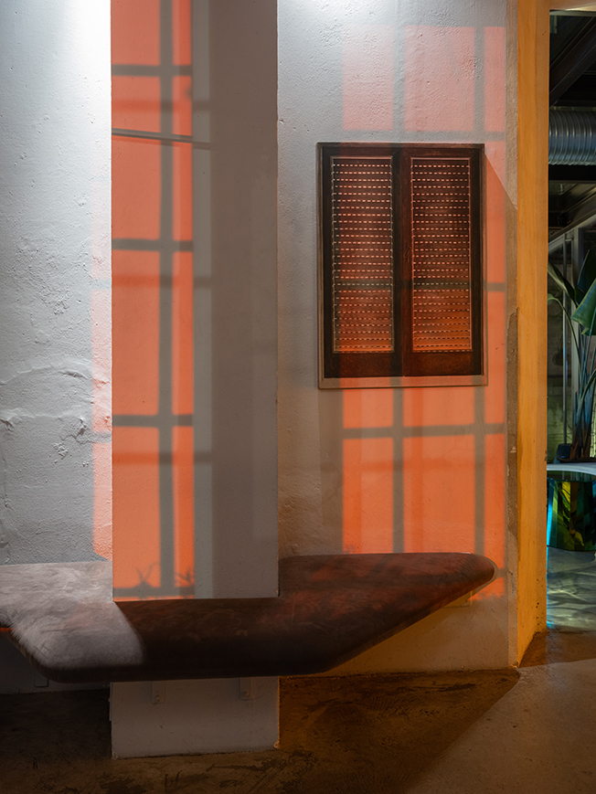 Dr. Barry & Ms. Hyde, Luciano Sozio,
Dawn, 2024,
Pigments and acrylic on linen,
100x70 cm,
Evening installation view