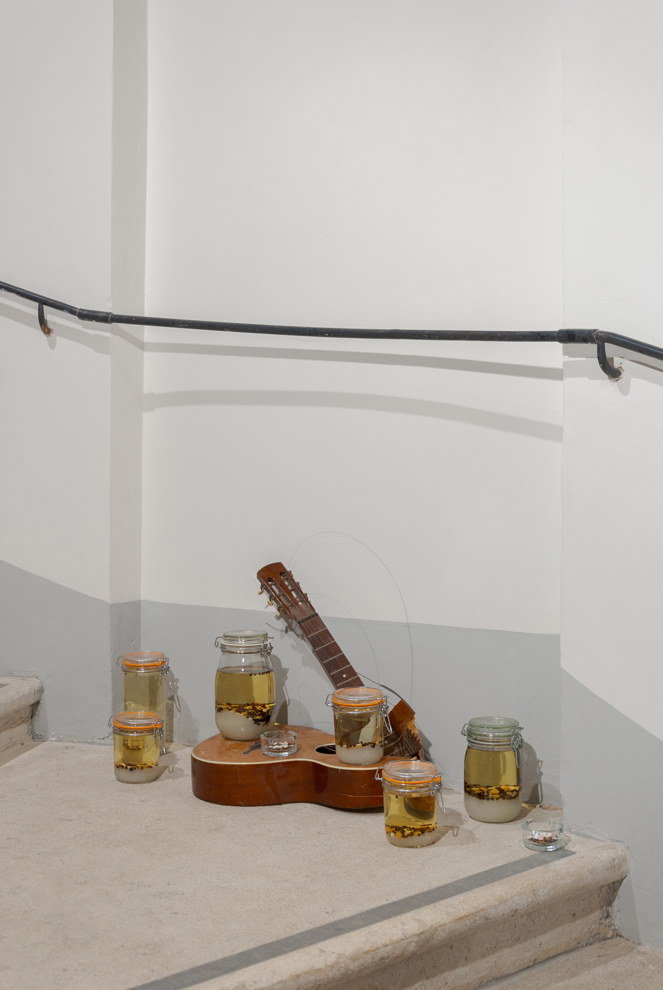 Joakim Hyldebrandt, Untitled (decadence), 2025, Guitar, glass jar, pill, salt, peppercorn, mustardcorn, oil, string, nail, ashtrey, Size variable
