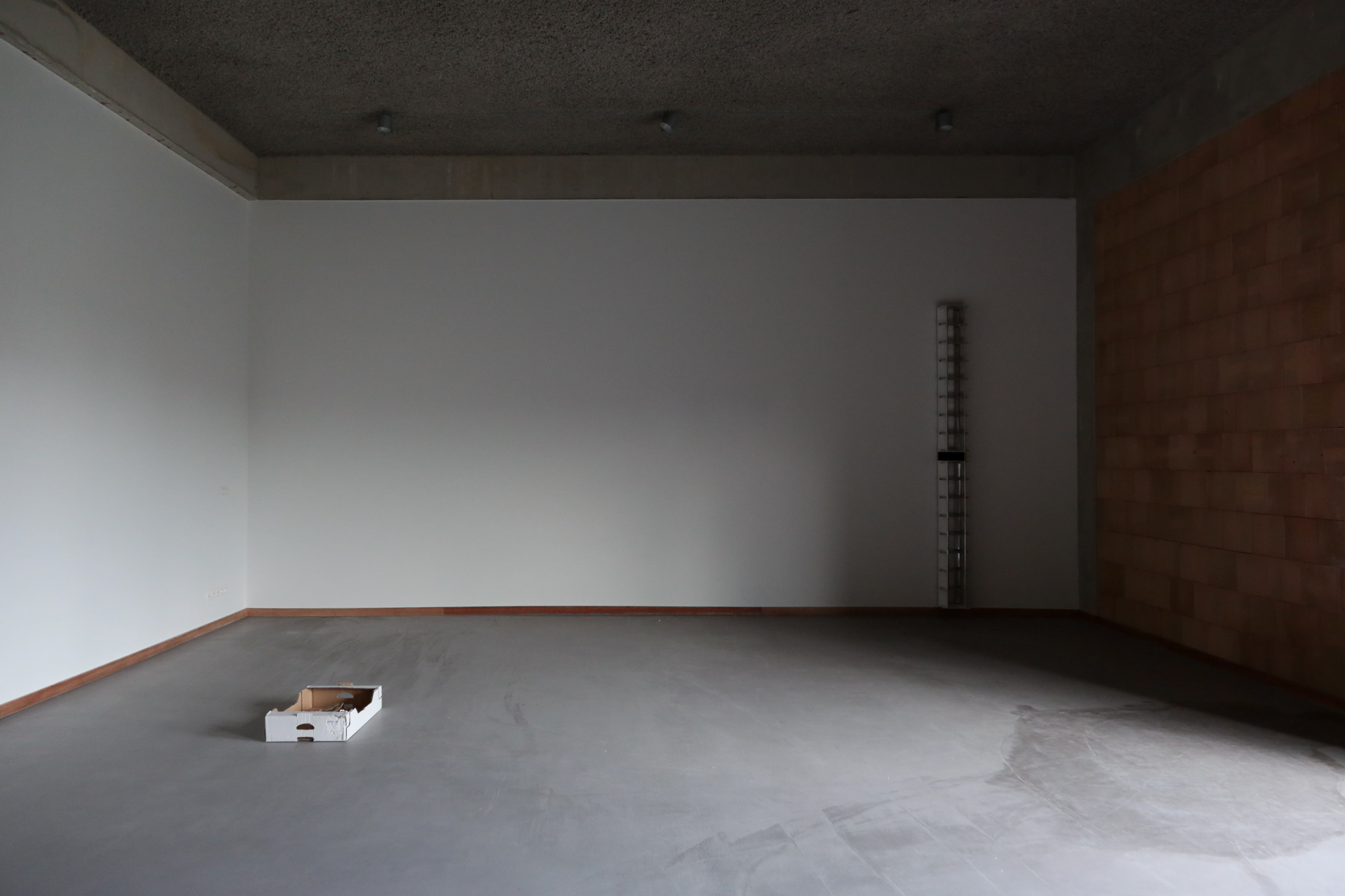 Aaron Amar Bhamra, form, 2013 - 2014/2025 / lamp covers (2/2), 2020 - 2021/2025. Courtesy: the artist. Photo: Aaron Amar Bhamra.
